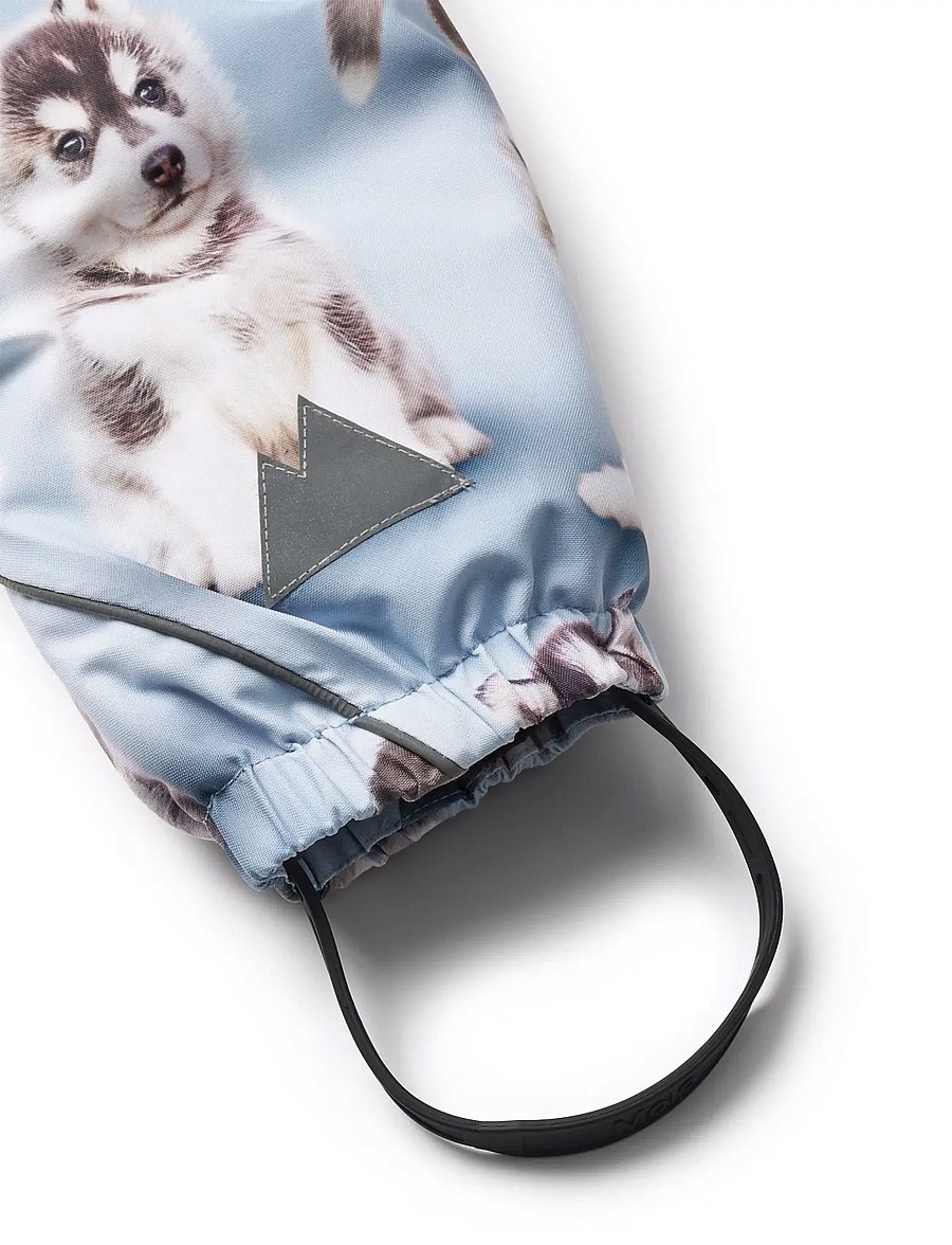 Molo - Pyxis Fur - husky cubs - 4