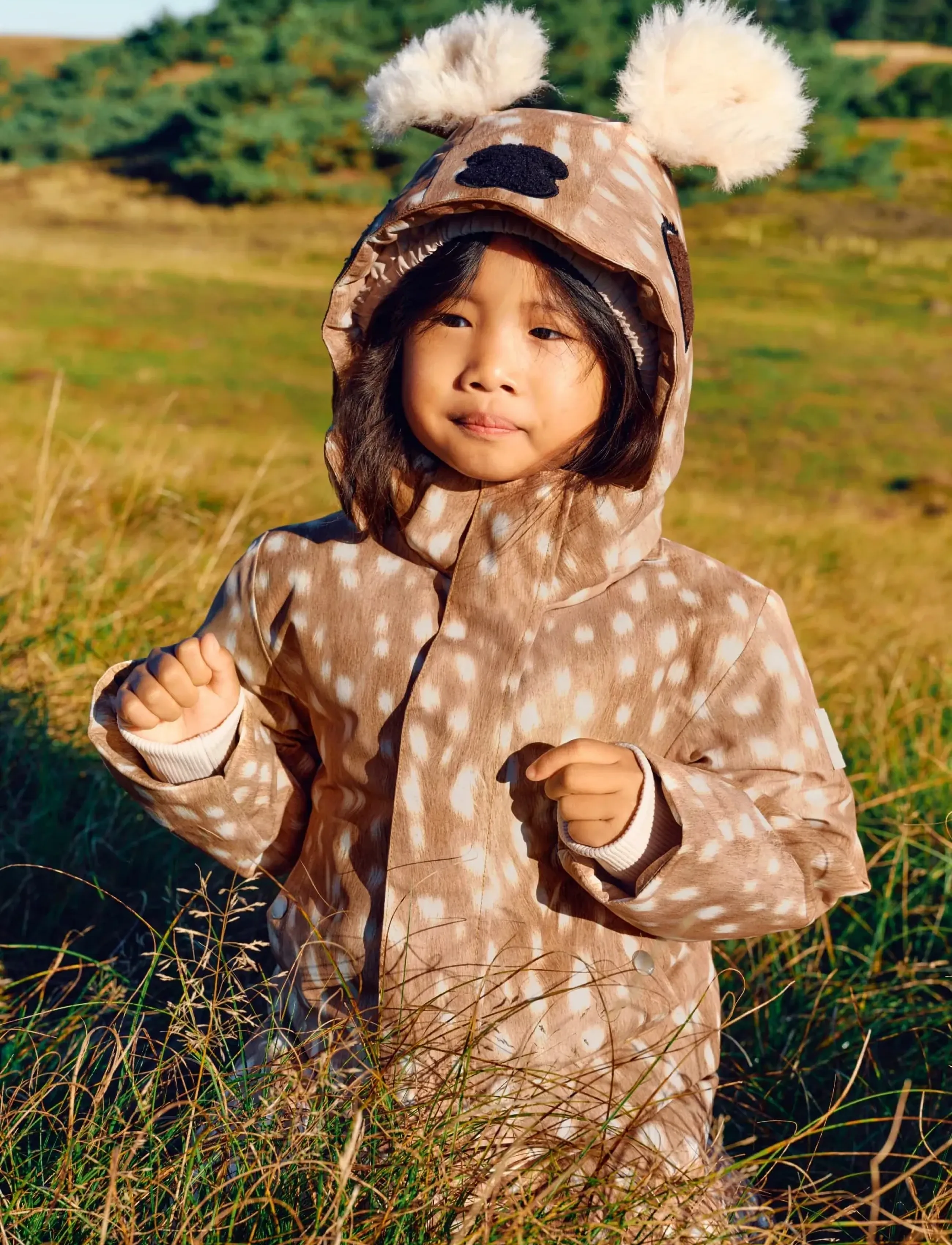 Molo - Pax - fawn deer - 0