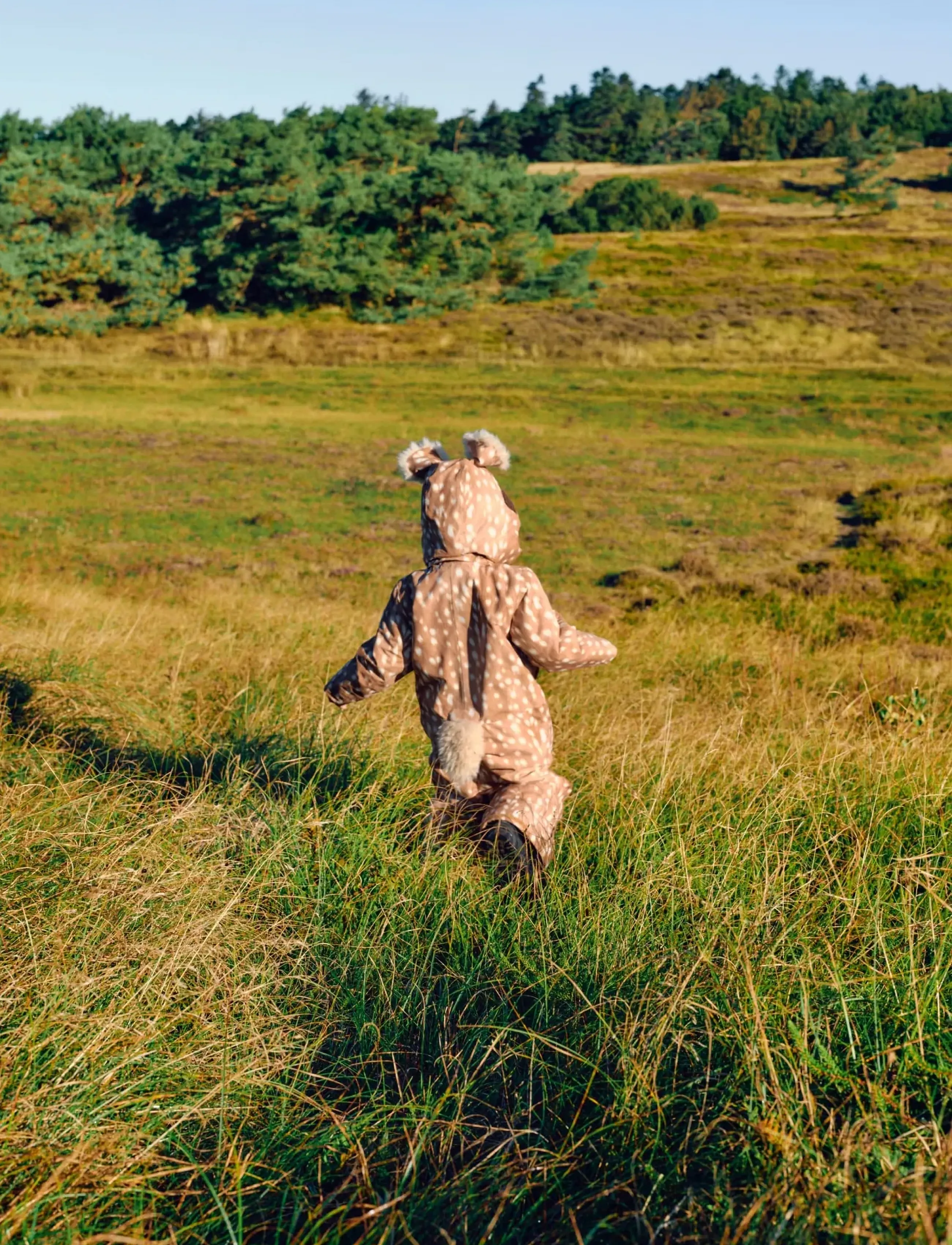 Molo - Pax - fawn deer - 3