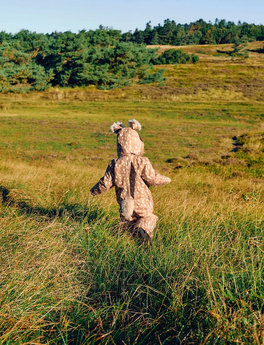 Molo - Pax - fawn deer - 3