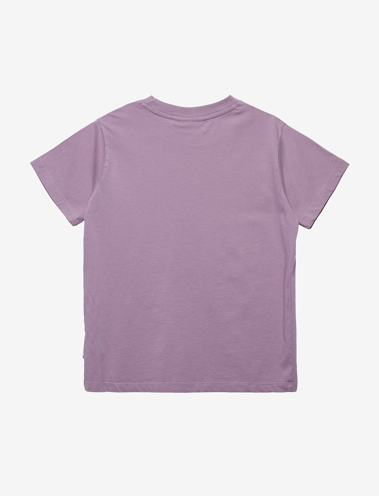 Molo - Reeve - alpine flower - 1