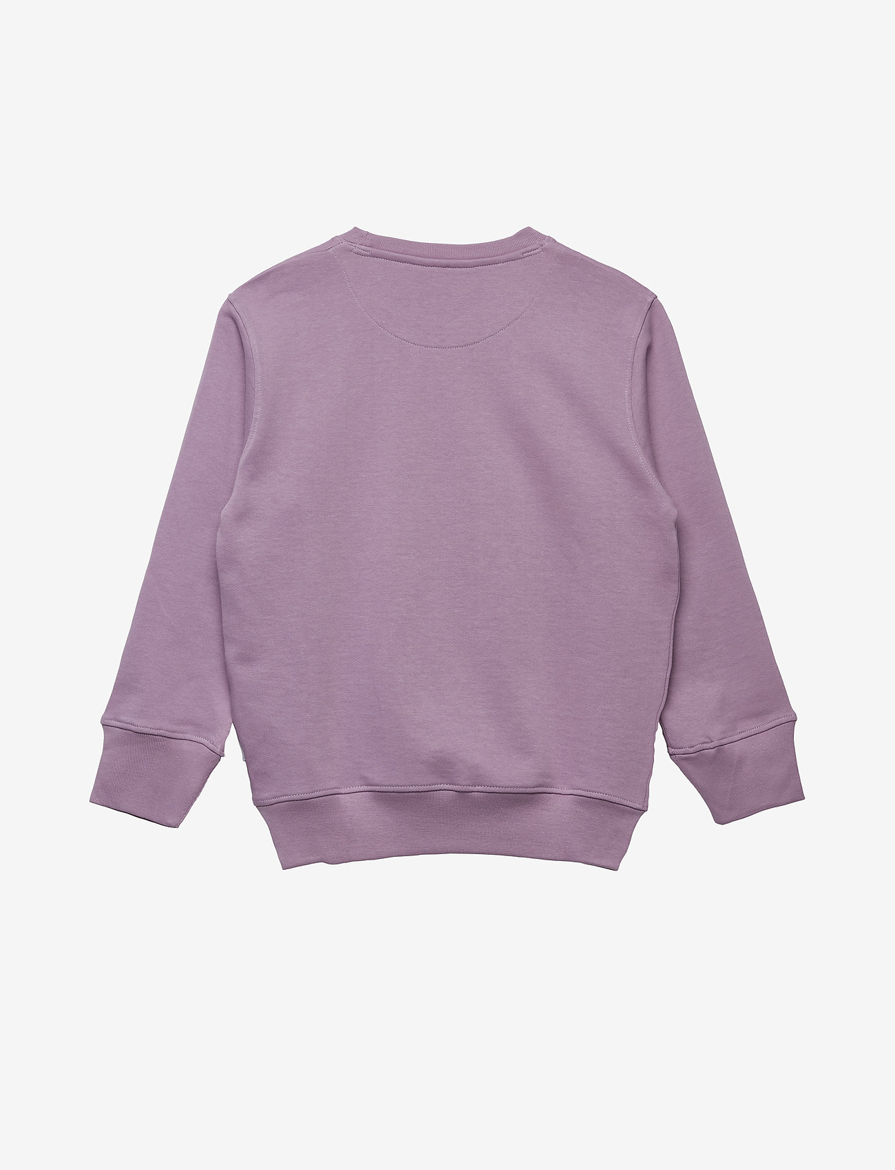 Molo - Main - alpine flower - 1