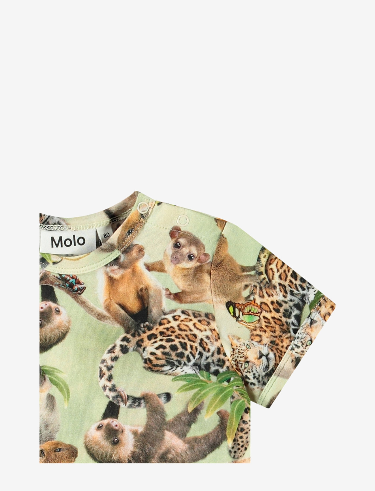 Molo - Easy - kortærmede - jungle cubs - 2