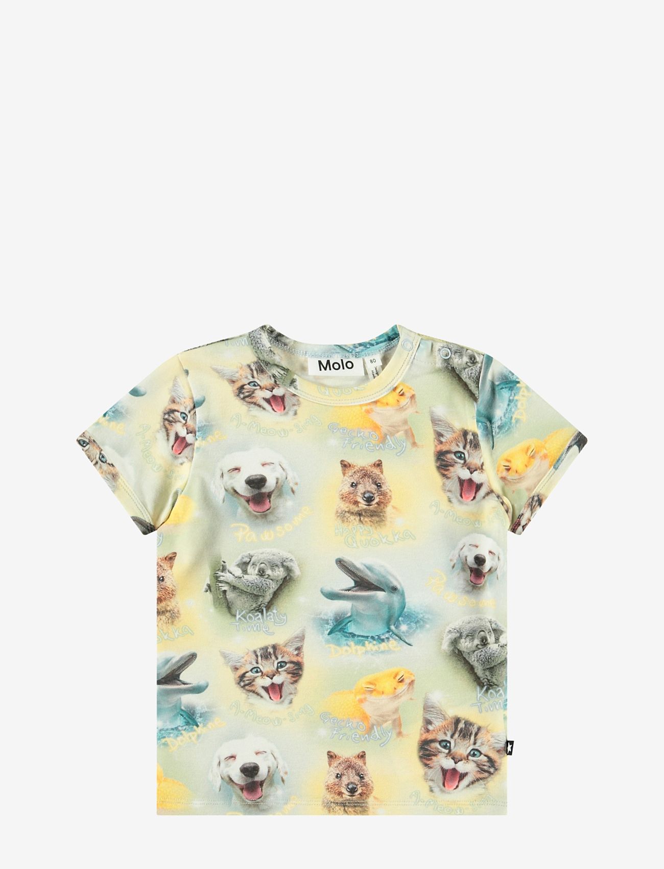 Molo - Easy - kortärmade - smilng cubs - 0