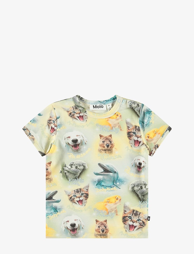 Molo - Easy - kortärmade - smilng cubs - 0