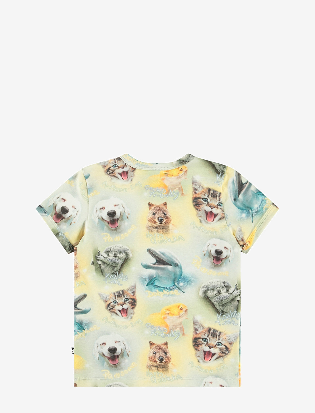 Molo - Easy - kortärmade - smilng cubs - 1