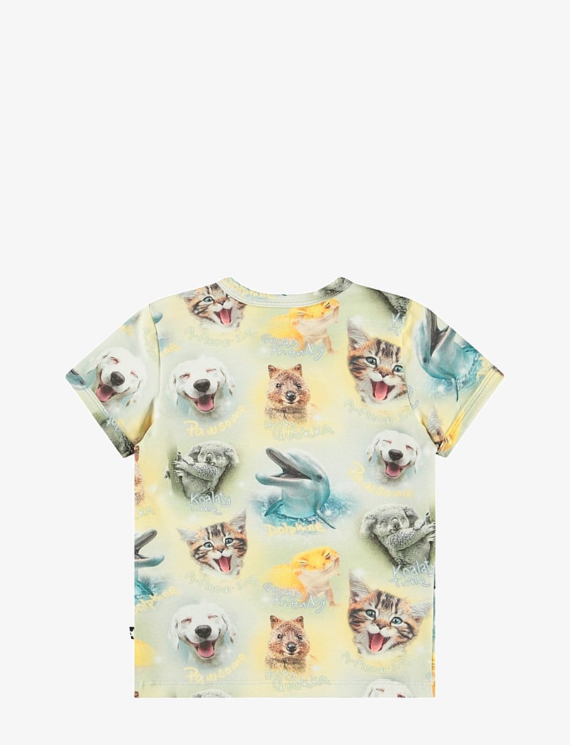 Molo - Easy - kortärmade - smilng cubs - 1