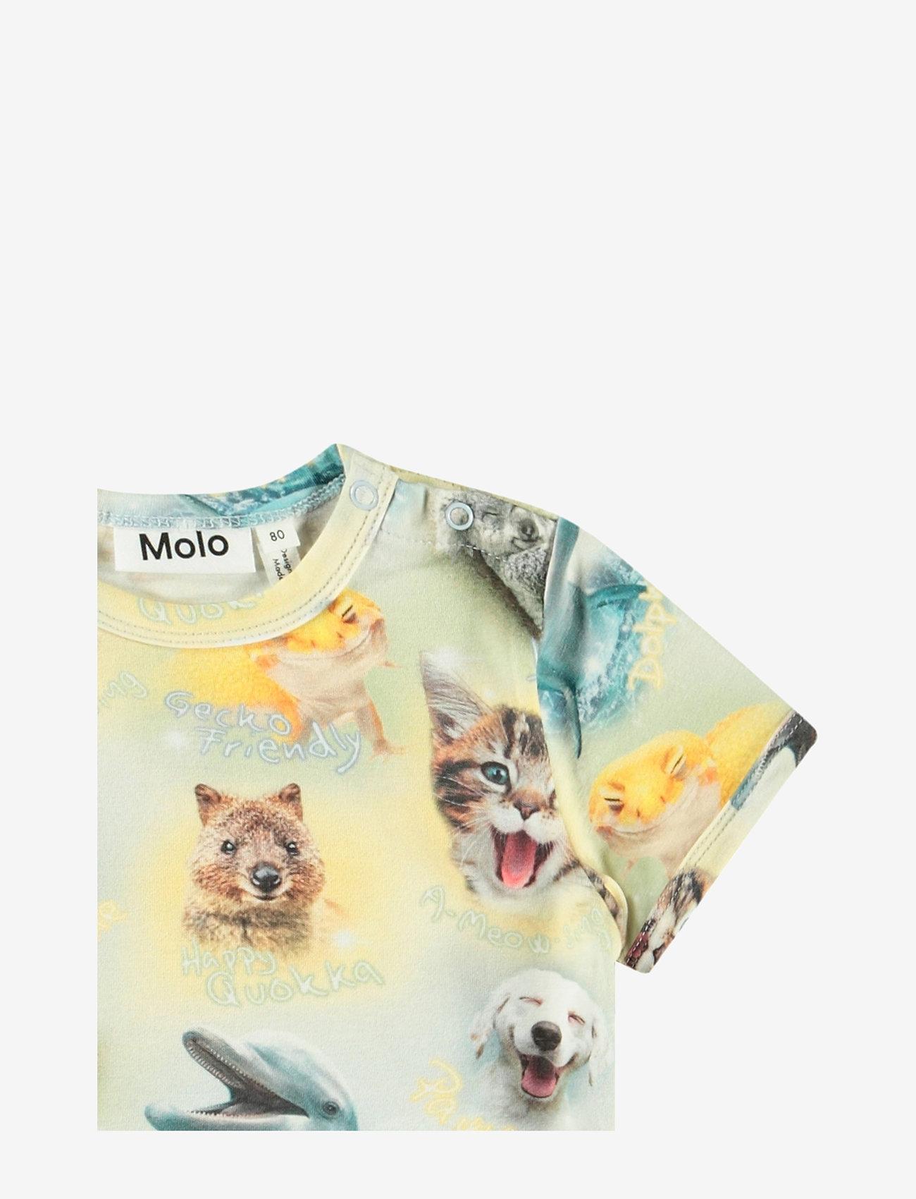 Molo - Easy - kortärmade - smilng cubs - 2