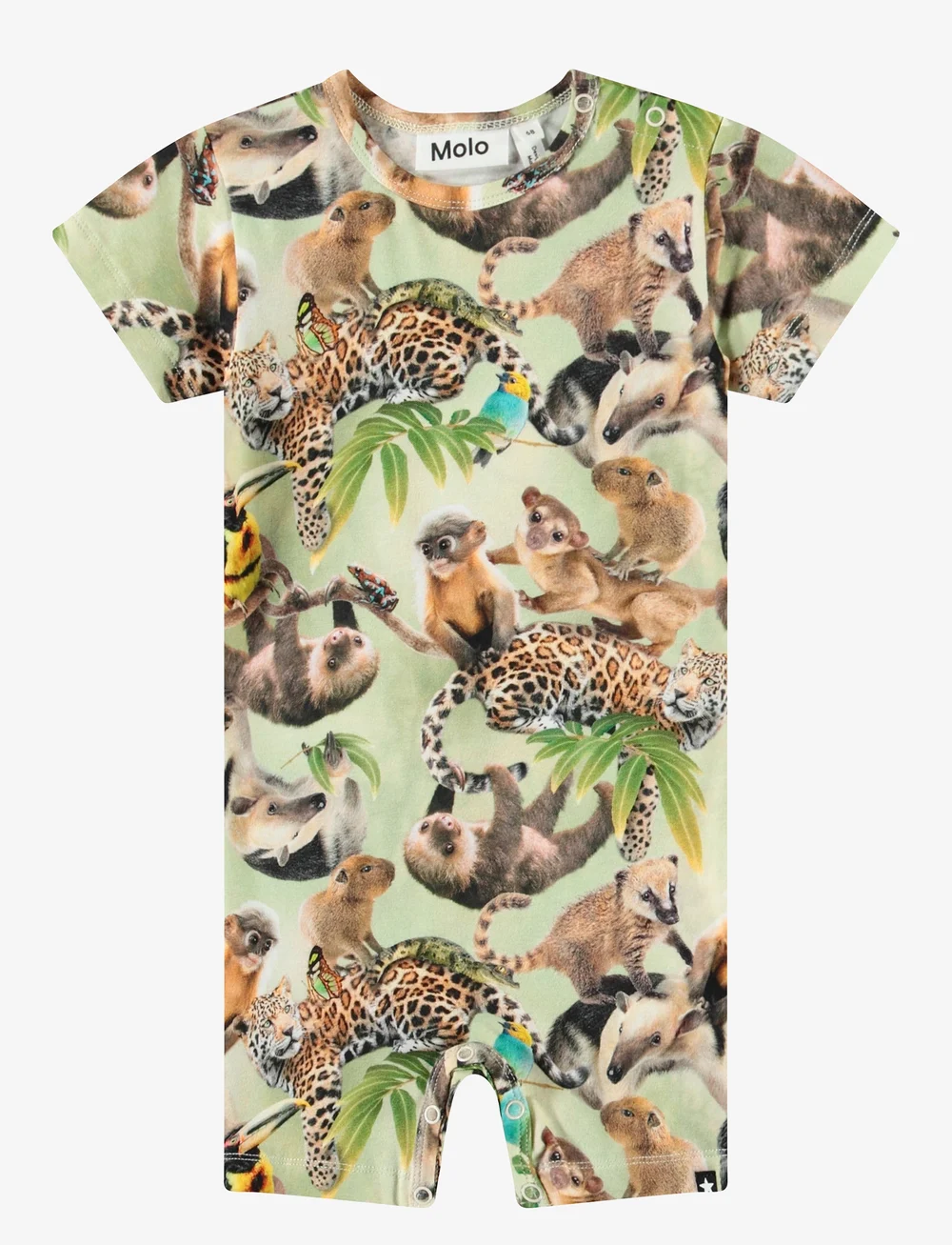 Molo - Finn - sets mit kurzärmeligem t-shirt - jungle cubs - 0