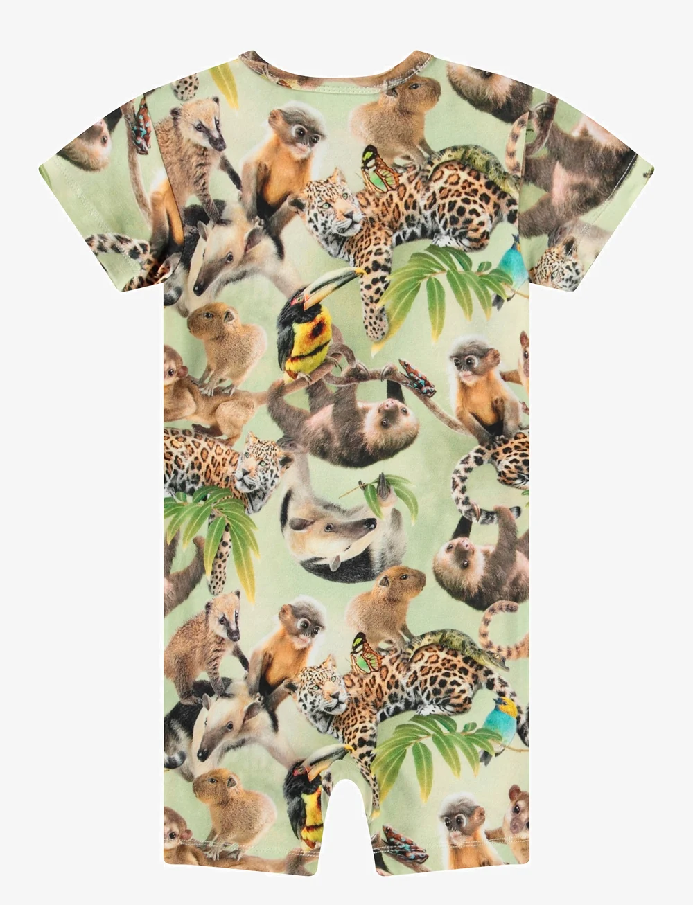 Molo - Finn - sets mit kurzärmeligem t-shirt - jungle cubs - 1