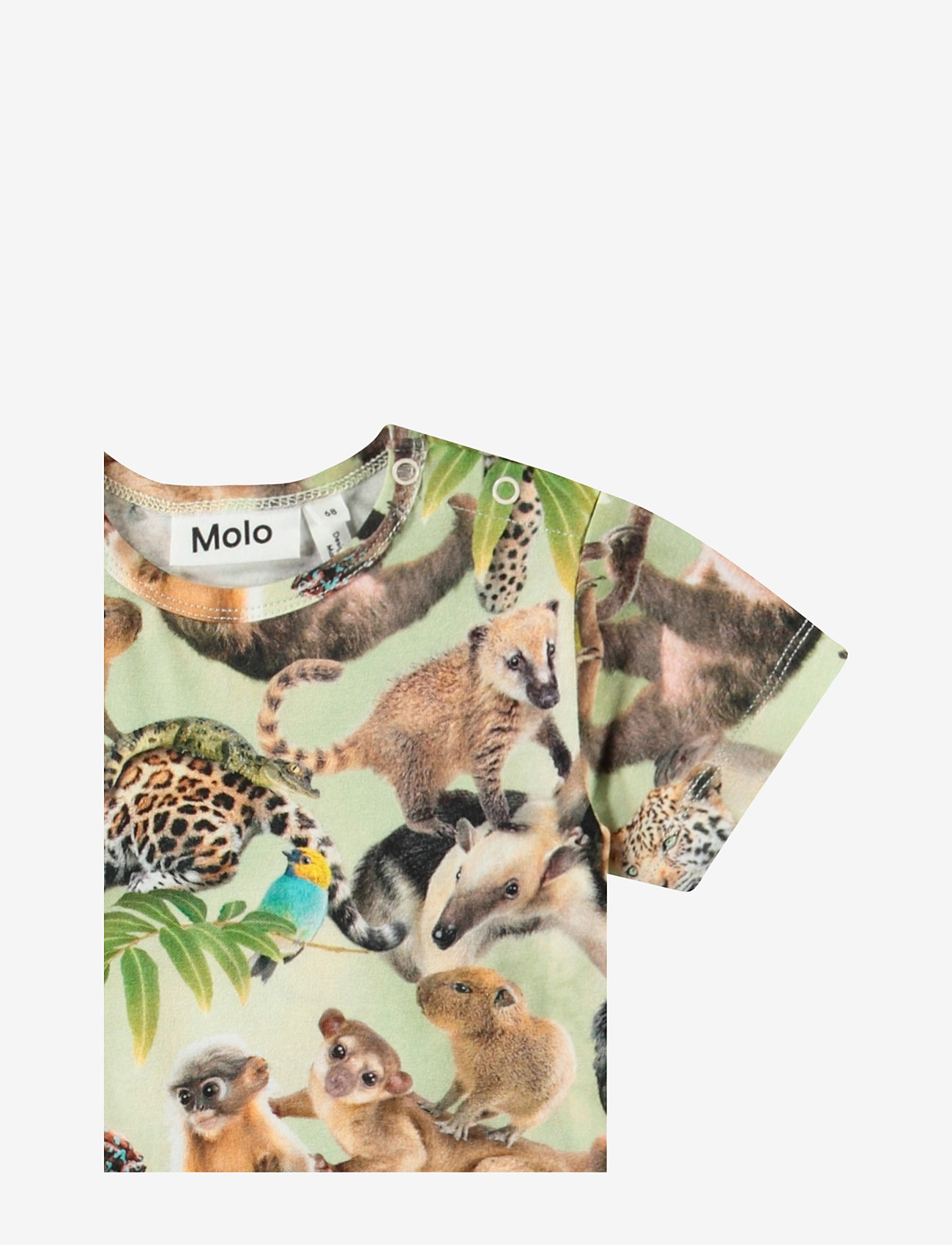 Molo - Finn - laveste priser - jungle cubs - 2