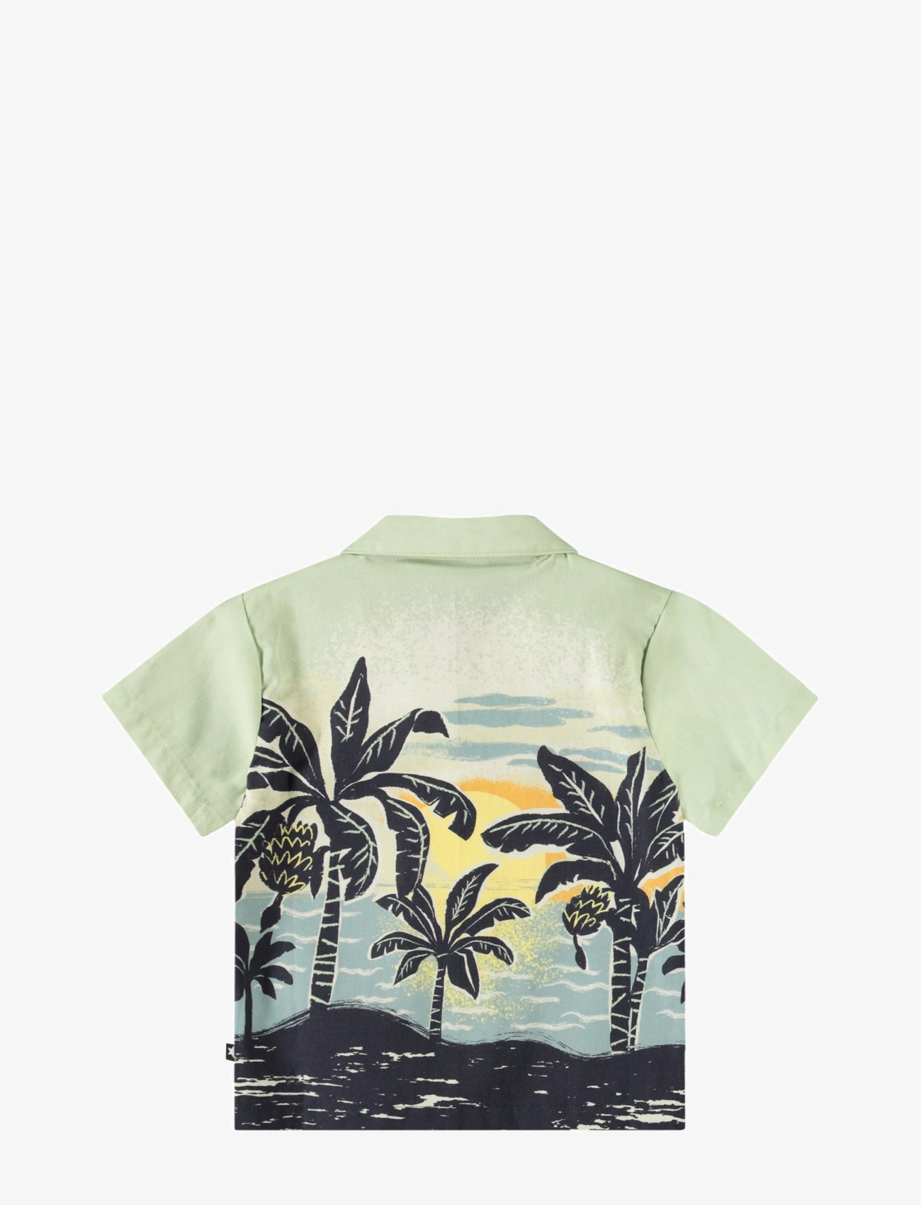 Molo - Eyou - babynanas palm - 2