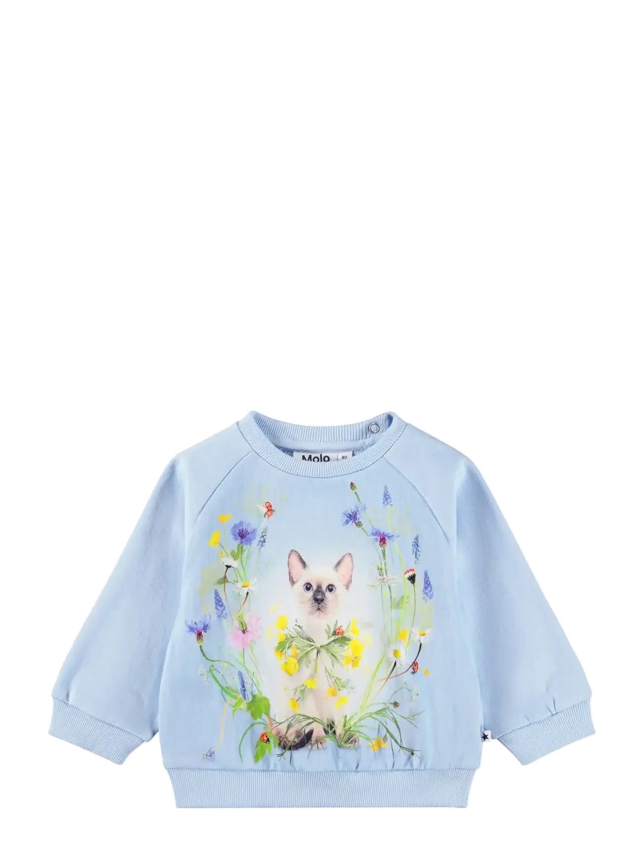 MOLO Disc Blau - 86 - Kinder