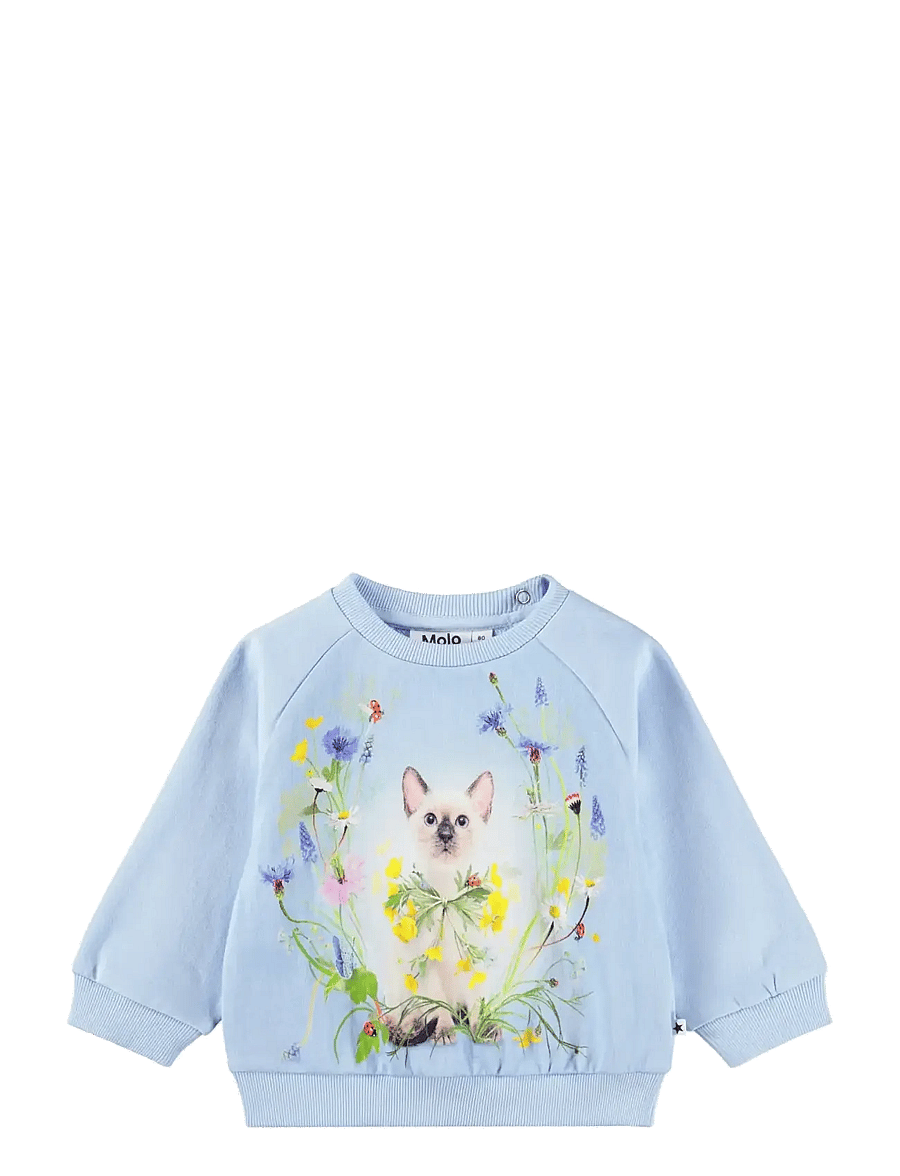 Molo - Disc - sweatshirts - meadow kitten - 0