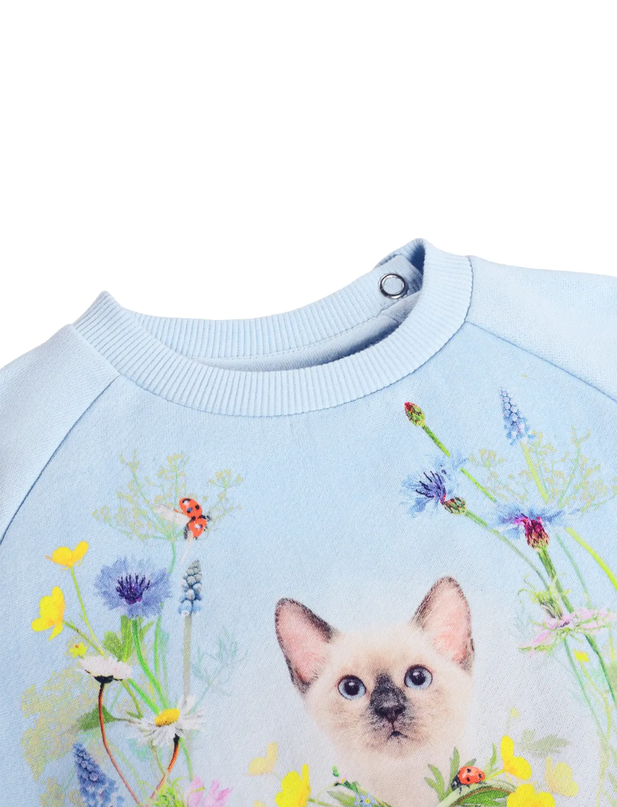 Molo - Disc - sweatshirts - meadow kitten - 2