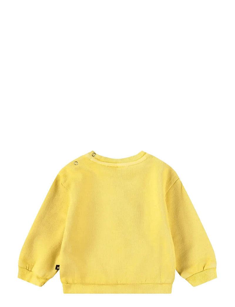 Molo - Dear - sweatshirts - sunshine - 1