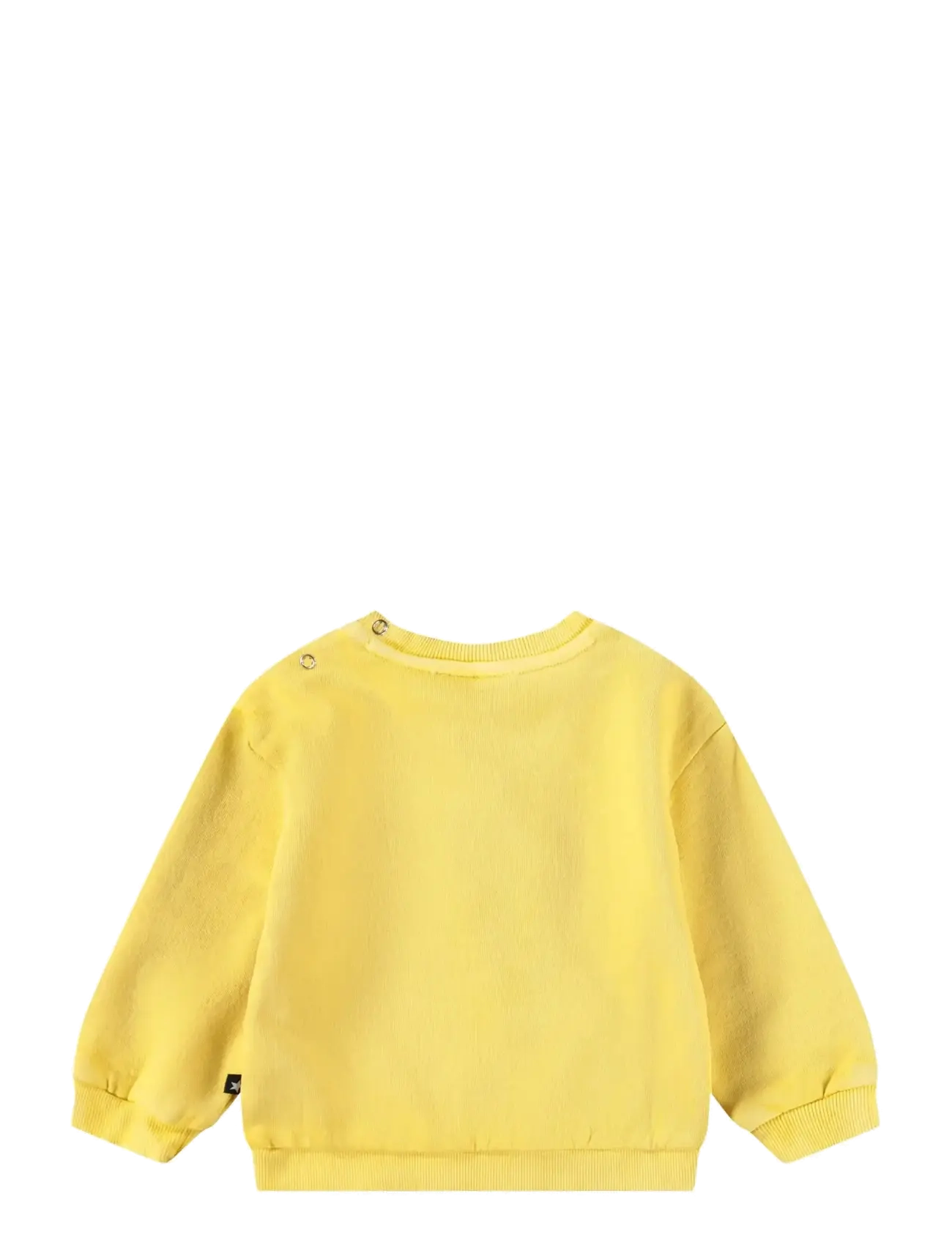Molo - Dear - sweatshirts - sunshine - 1