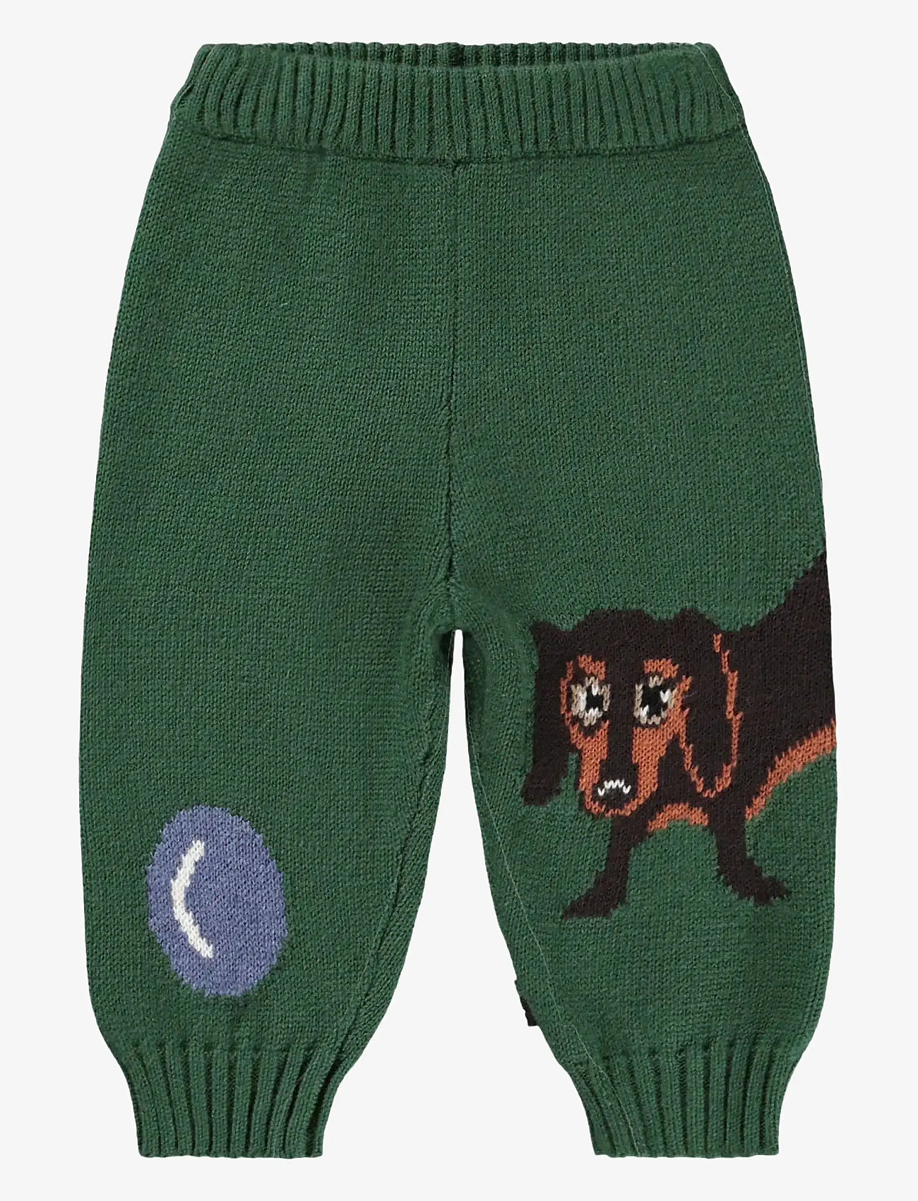 Molo - Sol - sügisesed riided - dachs puppy - 1