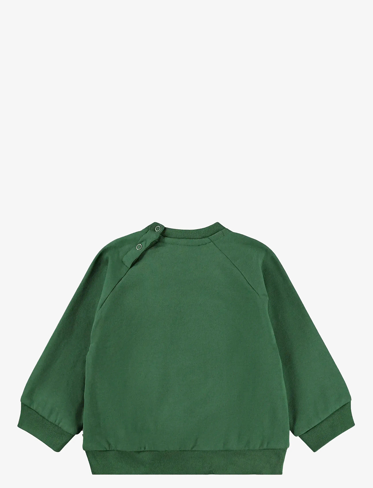 Molo - Disc - sweatshirts - pine tree - 1