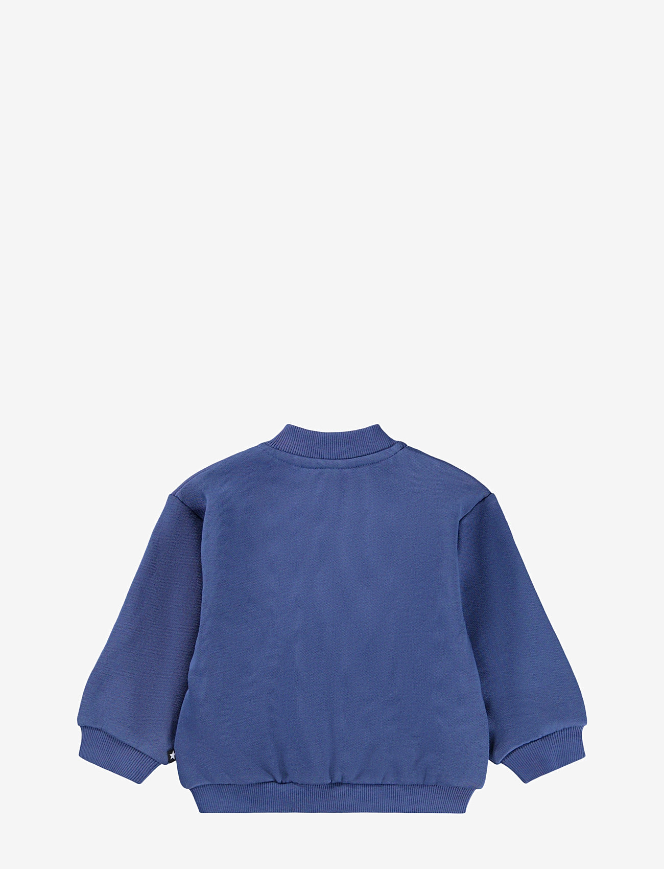 Molo - Dazzle - dressipluusid ja kapuutsiga dressipluusid - evening bear - 1