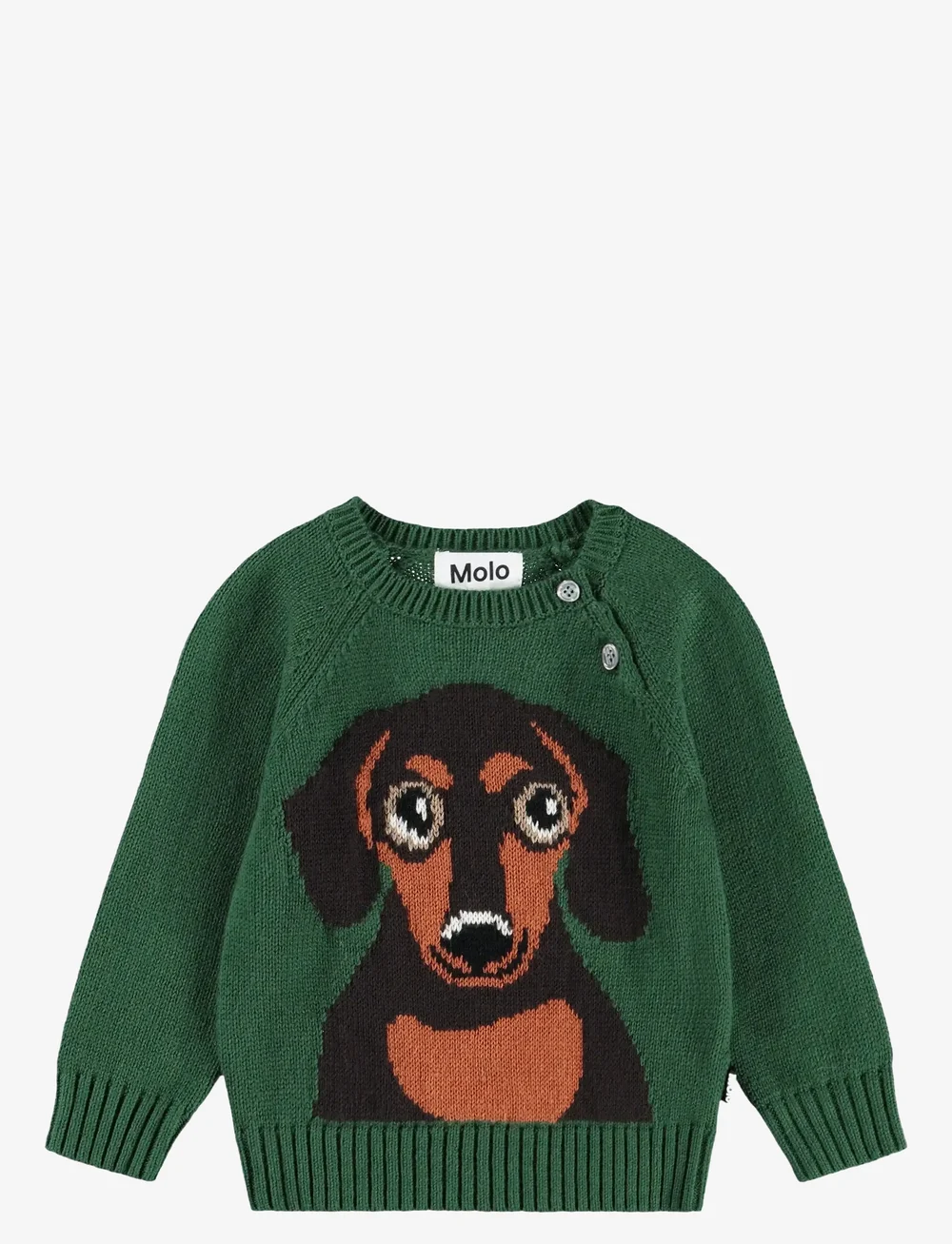 Molo - Bless - trøjer - dachs puppy - 1