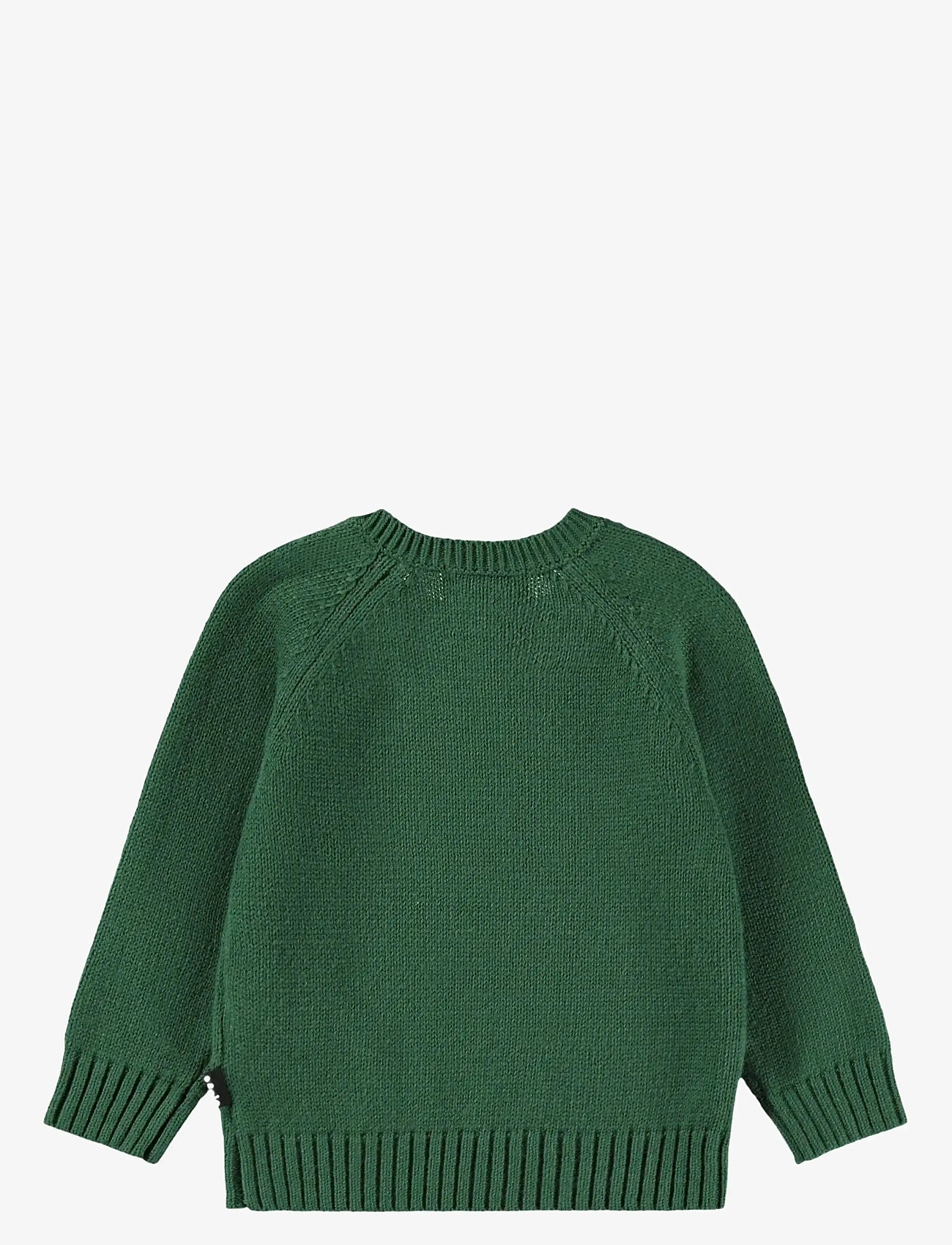 Molo - Bless - dachs puppy - 2