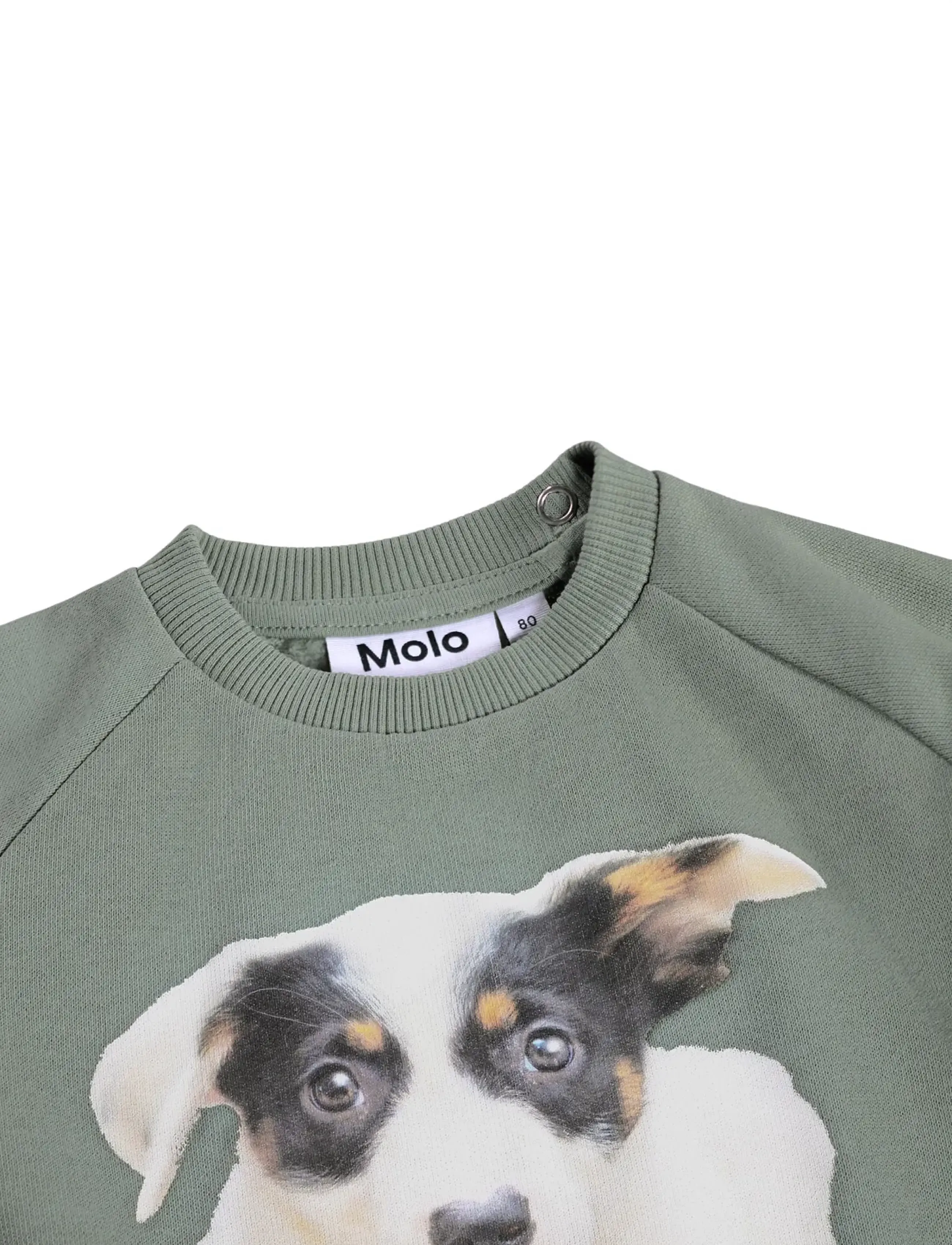 Molo - Disc - doggy muzzle - 2