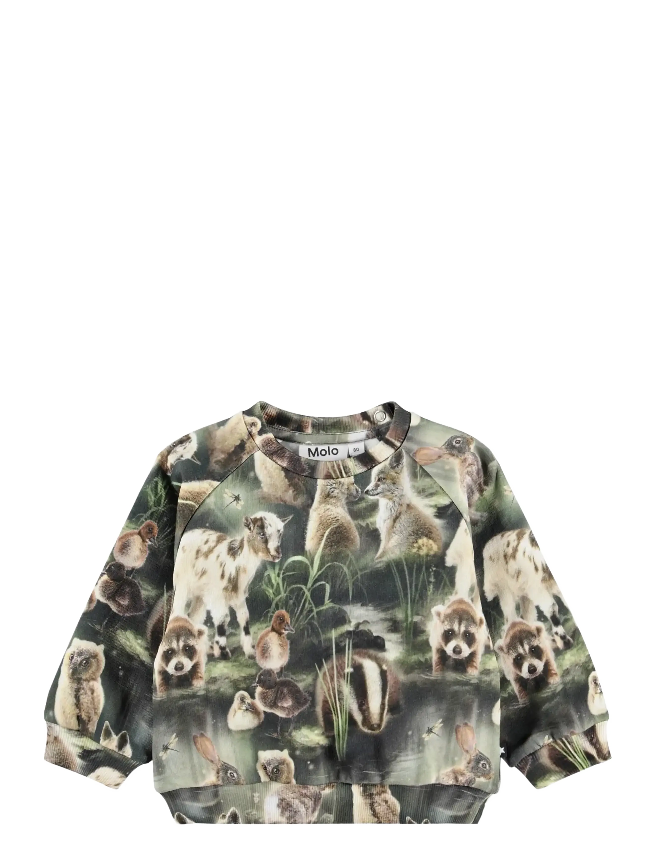 Molo Disc - Sweatshirts & Hættetrøjer - FABLE FOREST / khaki/green