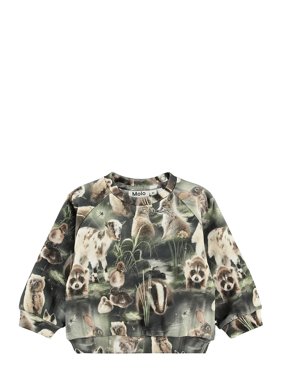 Molo - Disc - sweatshirts - fable forest - 0