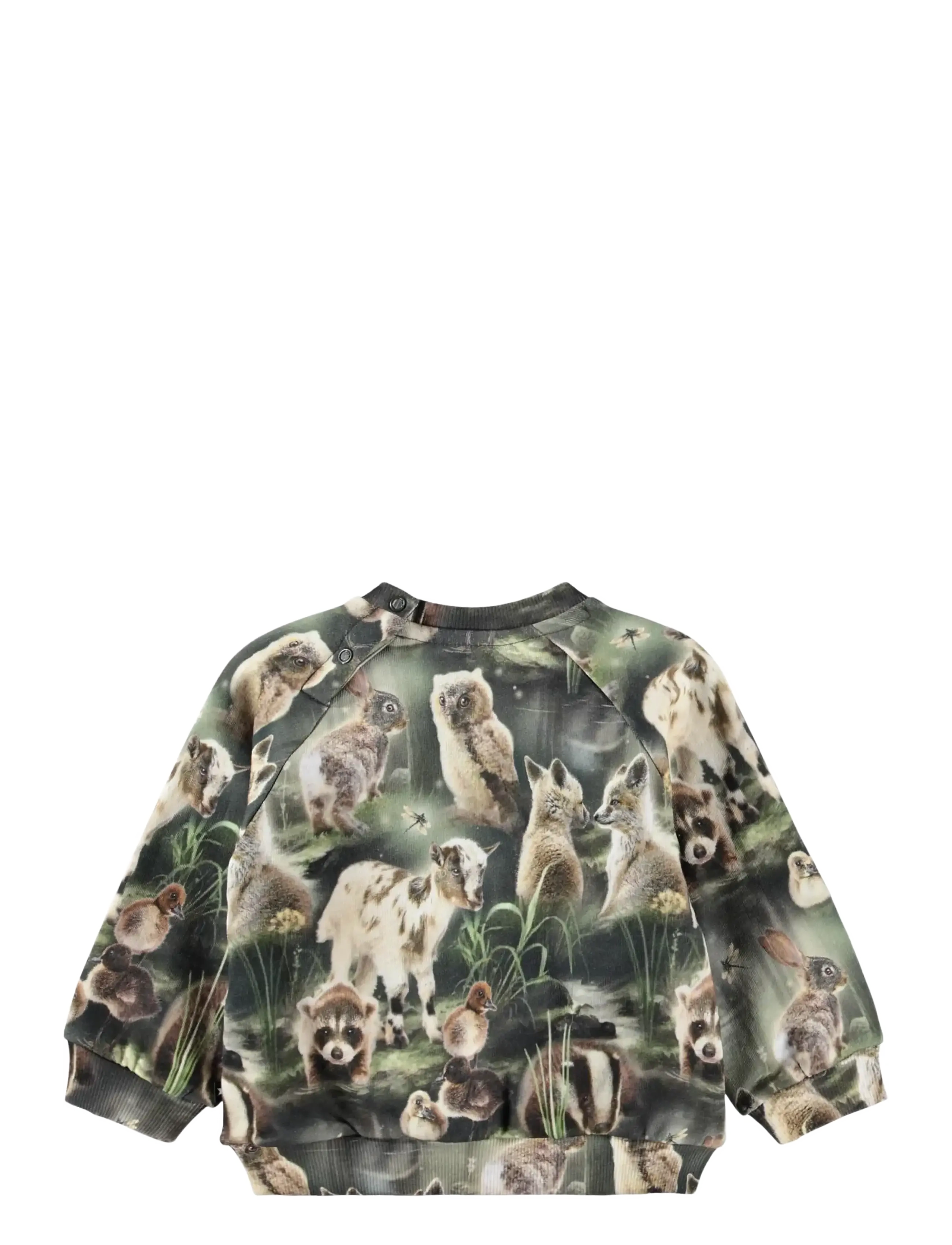 Molo - Disc - sweatshirts - fable forest - 1
