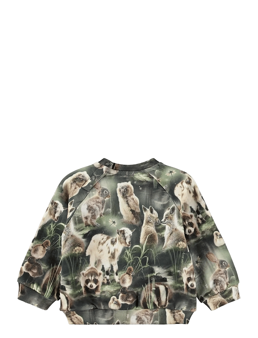 Molo - Disc - sweatshirts - fable forest - 1
