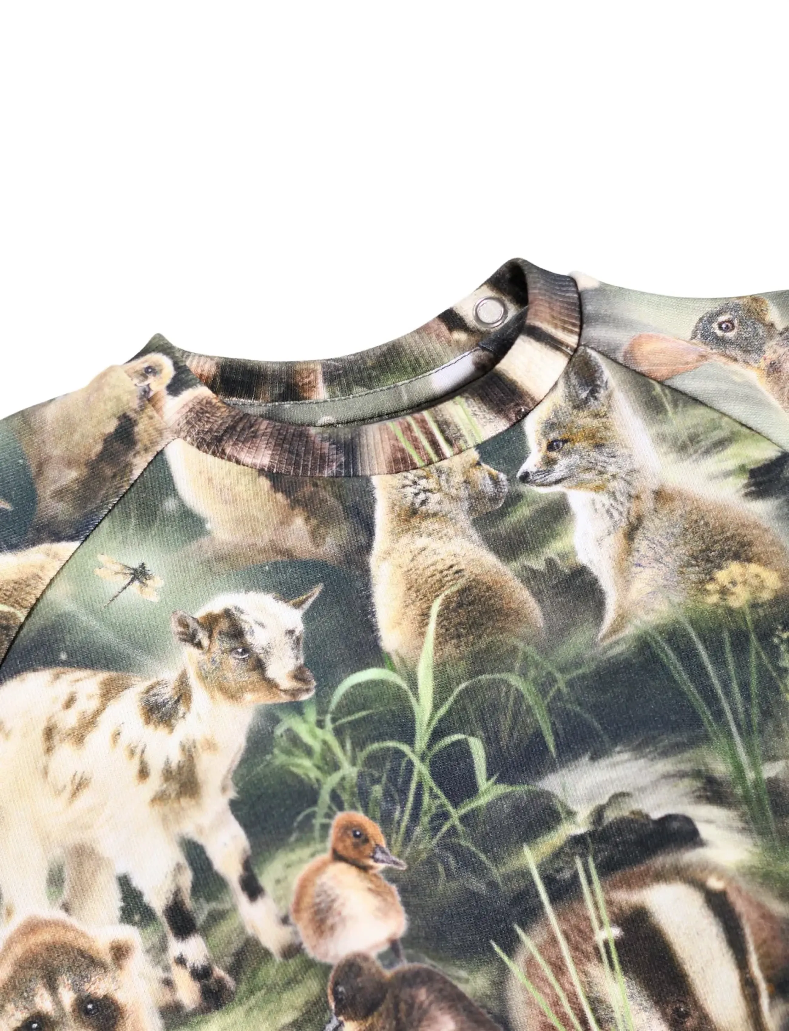 Molo - Disc - sweatshirts - fable forest - 2