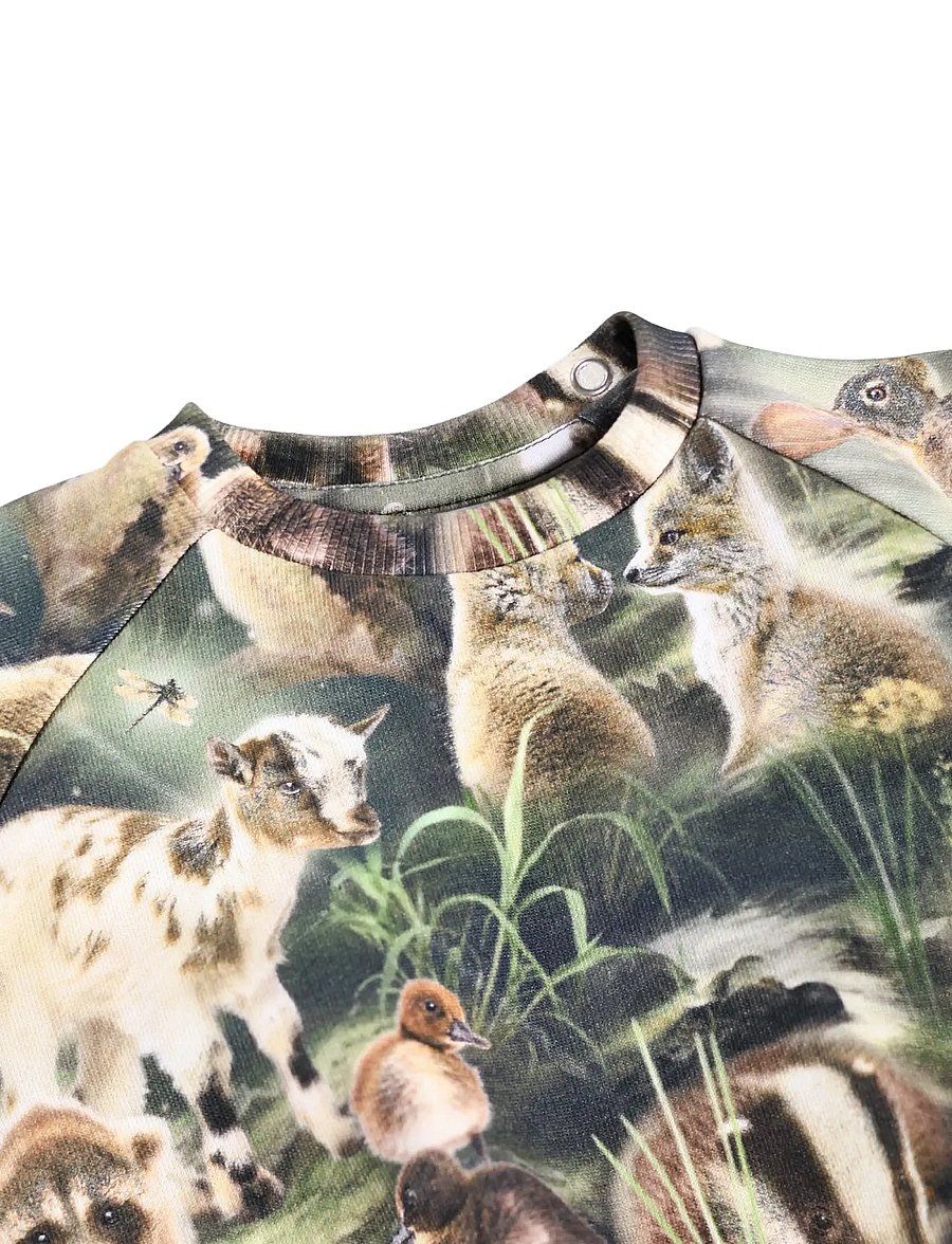 Molo - Disc - sweatshirts - fable forest - 2