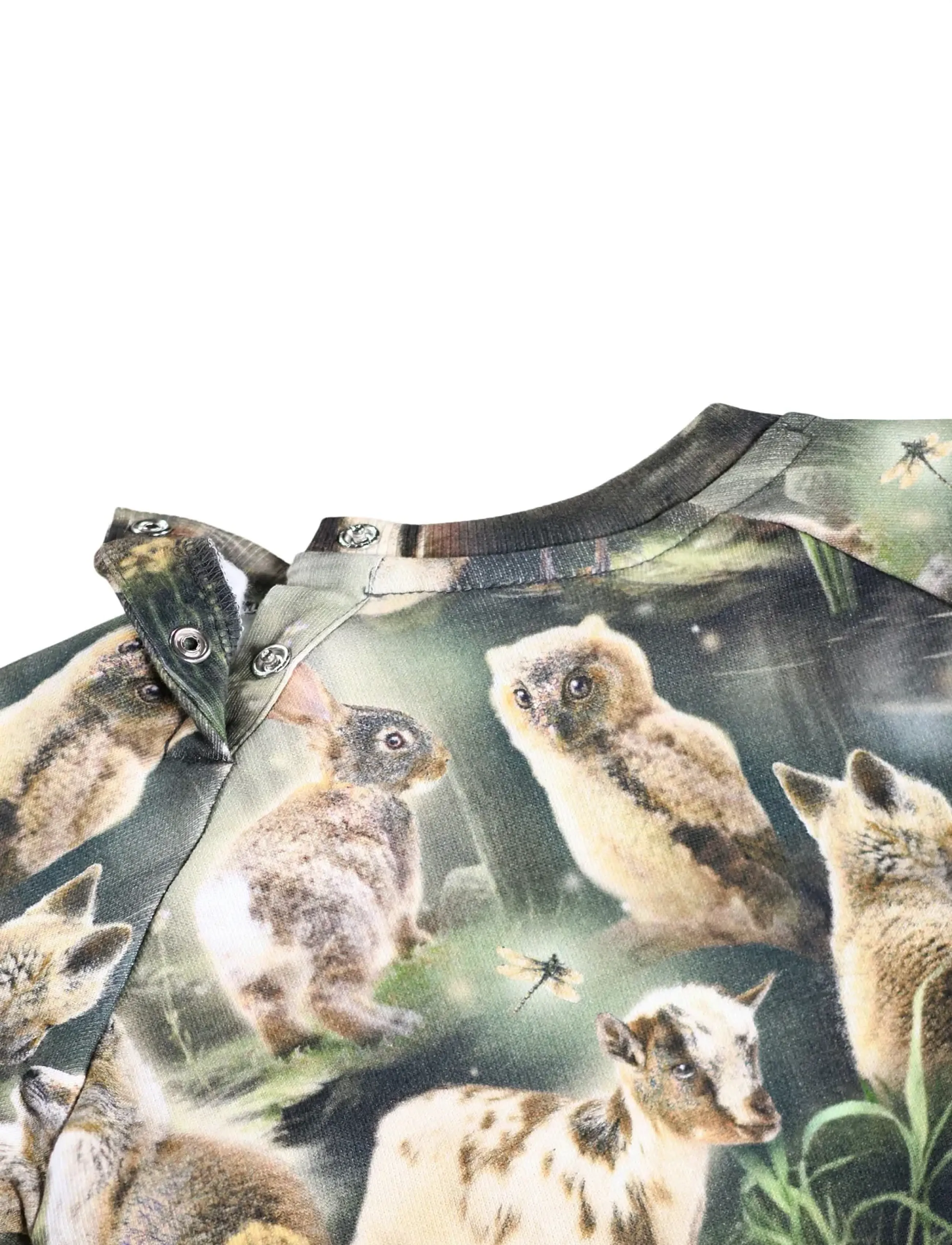 Molo - Disc - sweatshirts - fable forest - 3