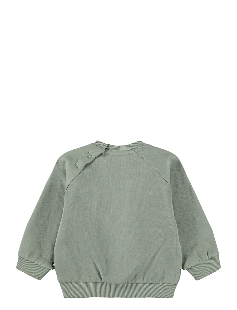 Molo - Disc - sweatshirts - cladonia - 2
