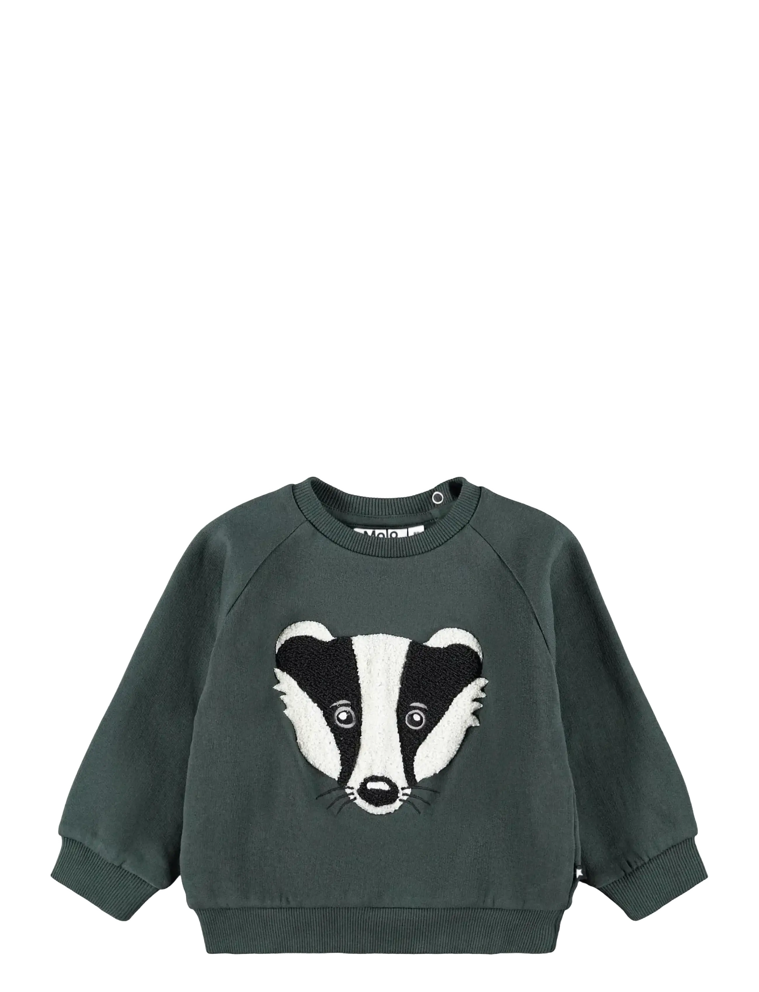 Molo Disc - Sweatshirts & Hættetrøjer - TAXUS / khaki/green