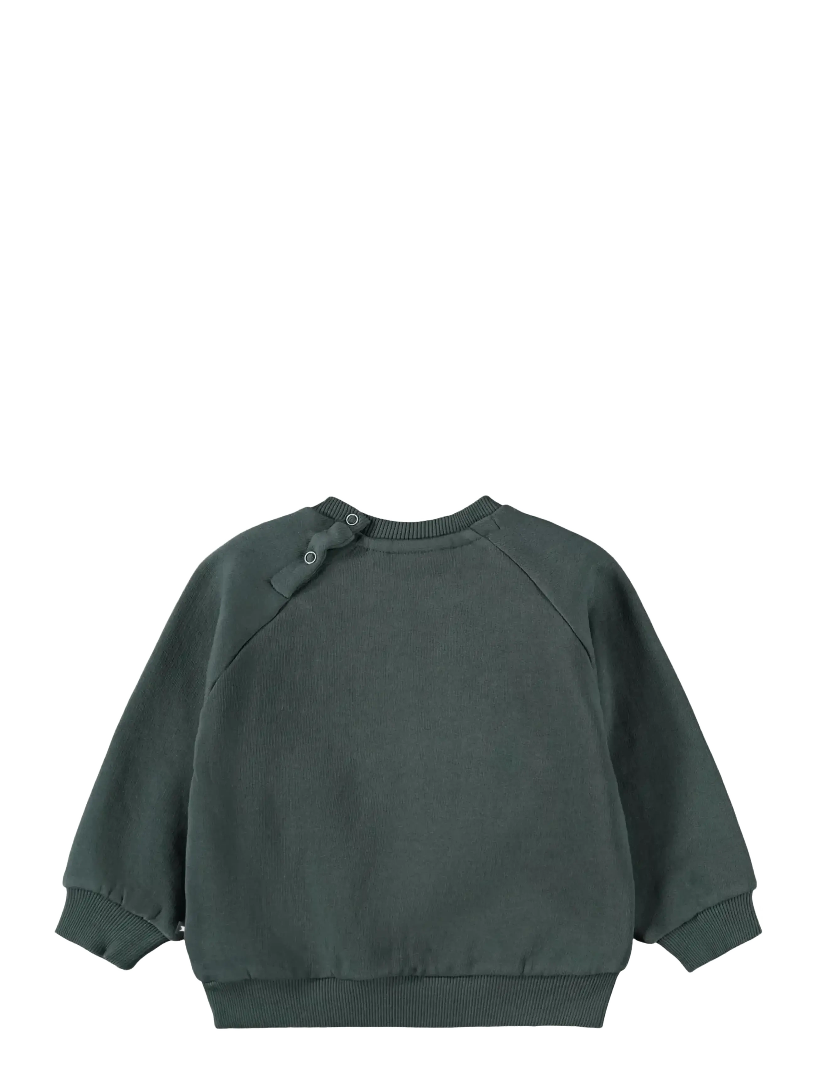 Molo - Disc - sweatshirts - taxus - 1