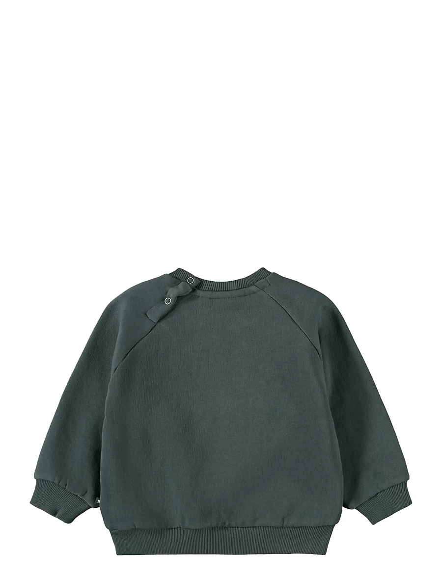 Molo - Disc - sweatshirts - taxus - 1