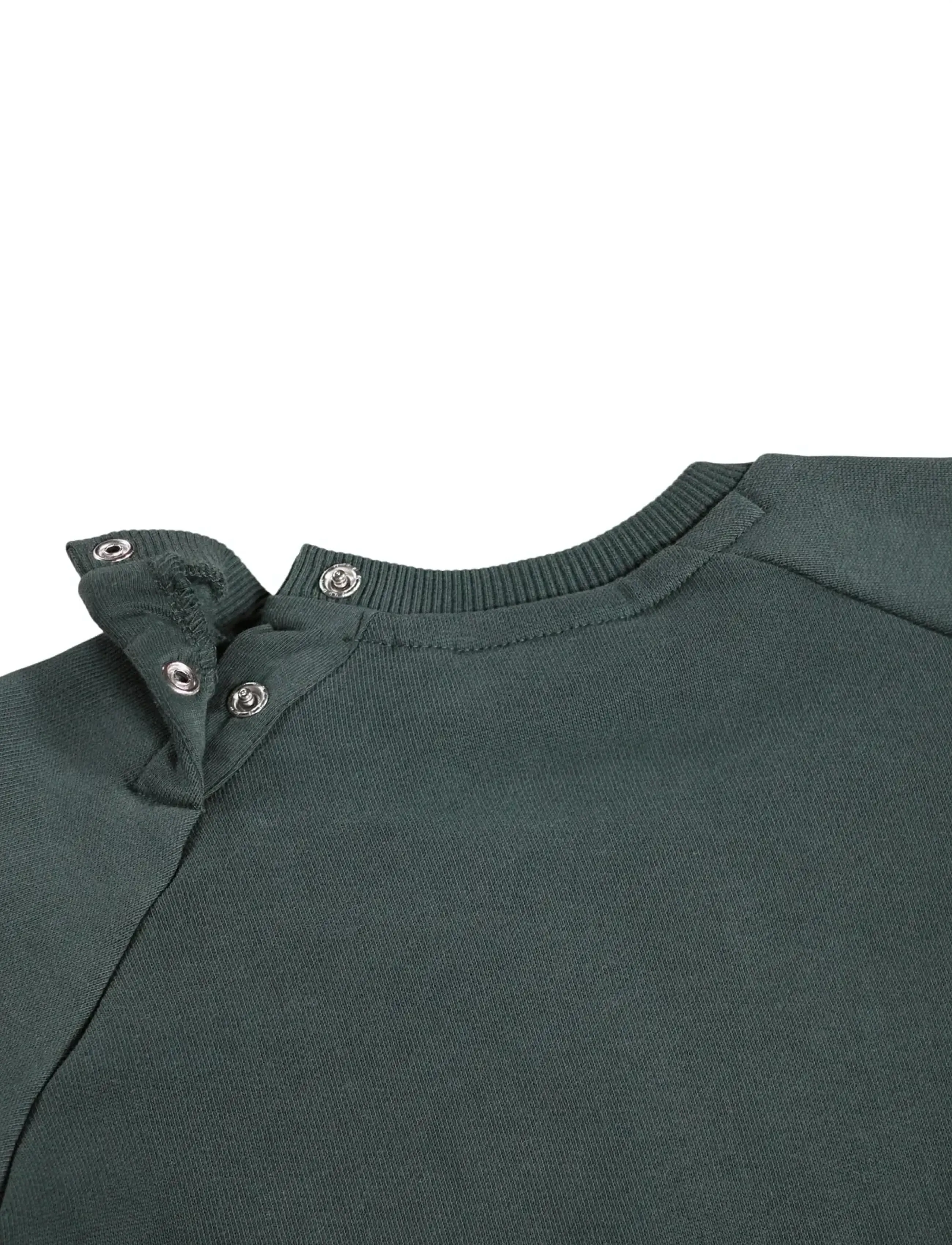 Molo - Disc - sweatshirts - taxus - 3