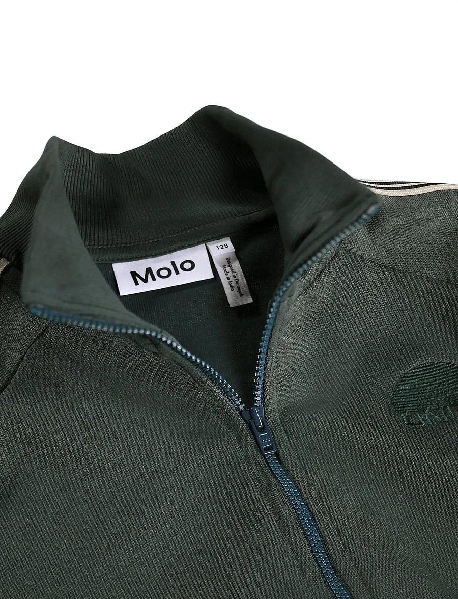 Molo - Meracer - kerged joped - taxus - 5