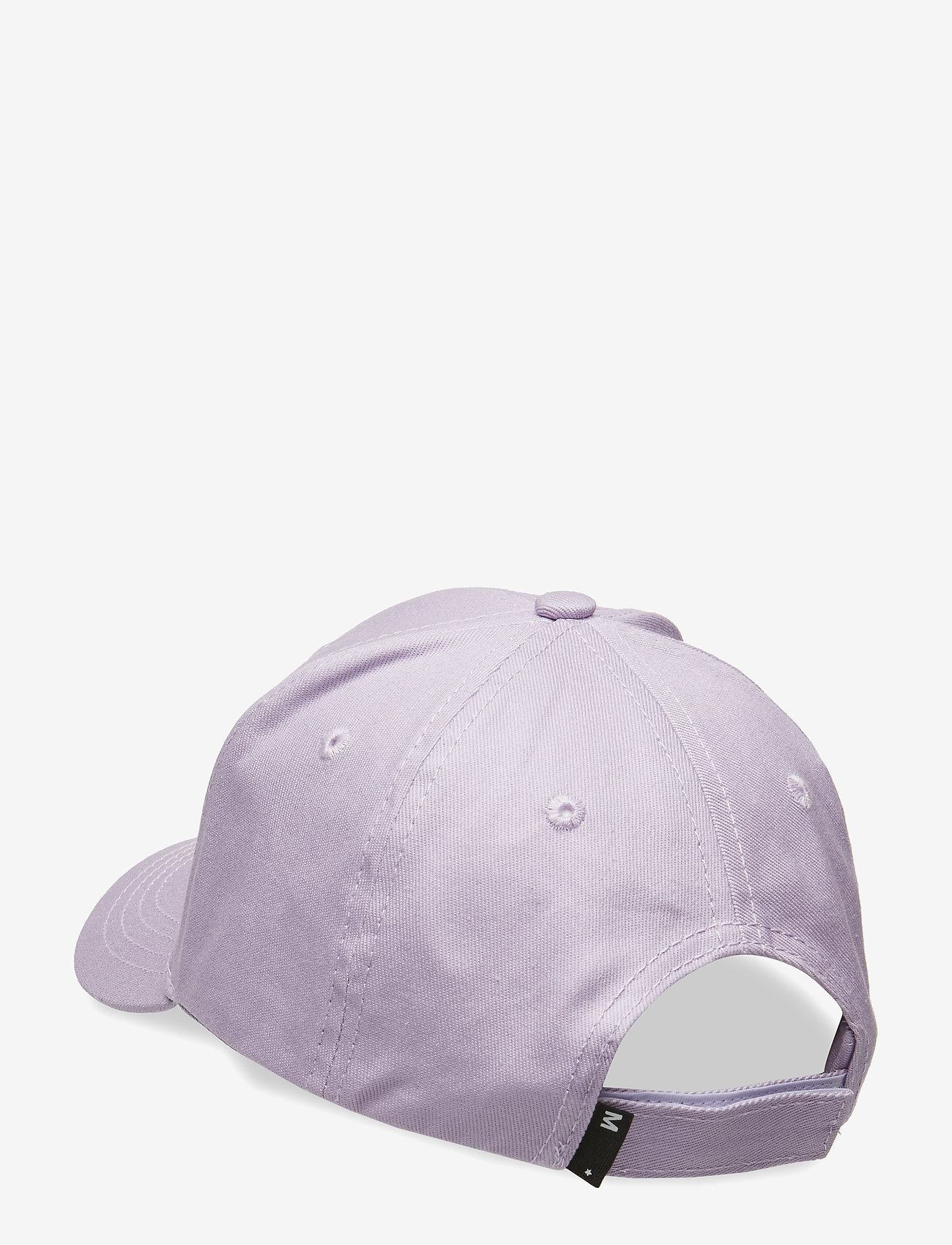 Molo - Sebastian - alpine flower - 1