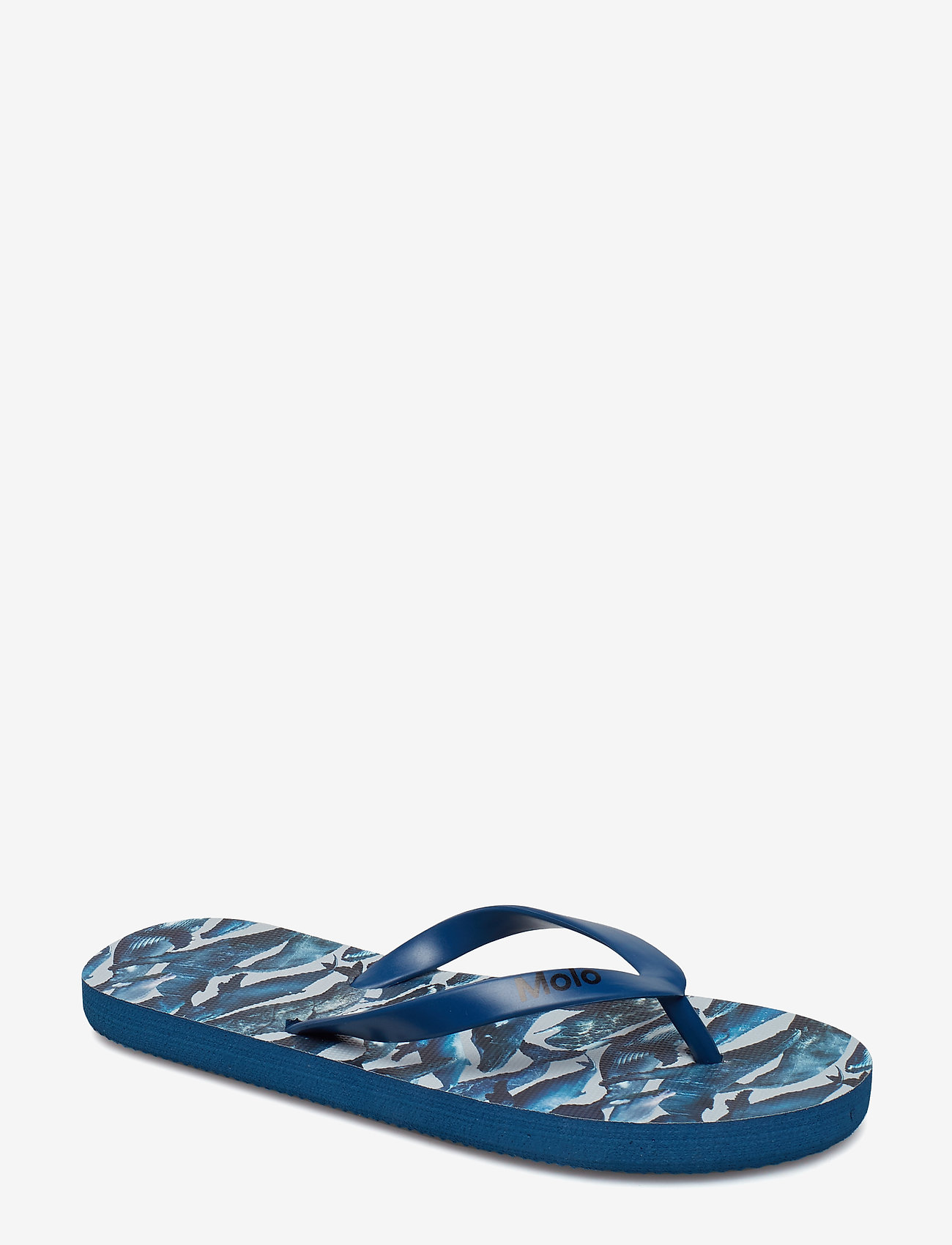 WHALES