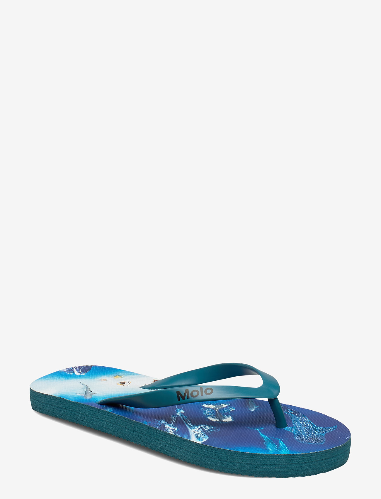 Molo - Zeppo - above ocean - 0