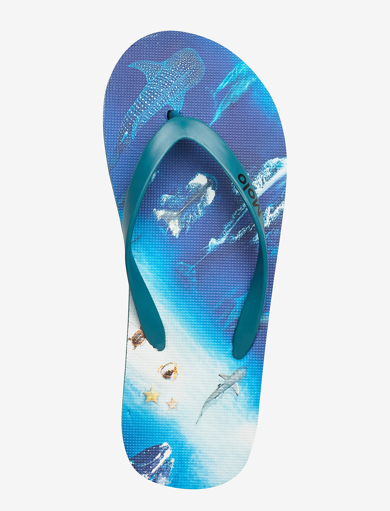 Molo - Zeppo - above ocean - 3