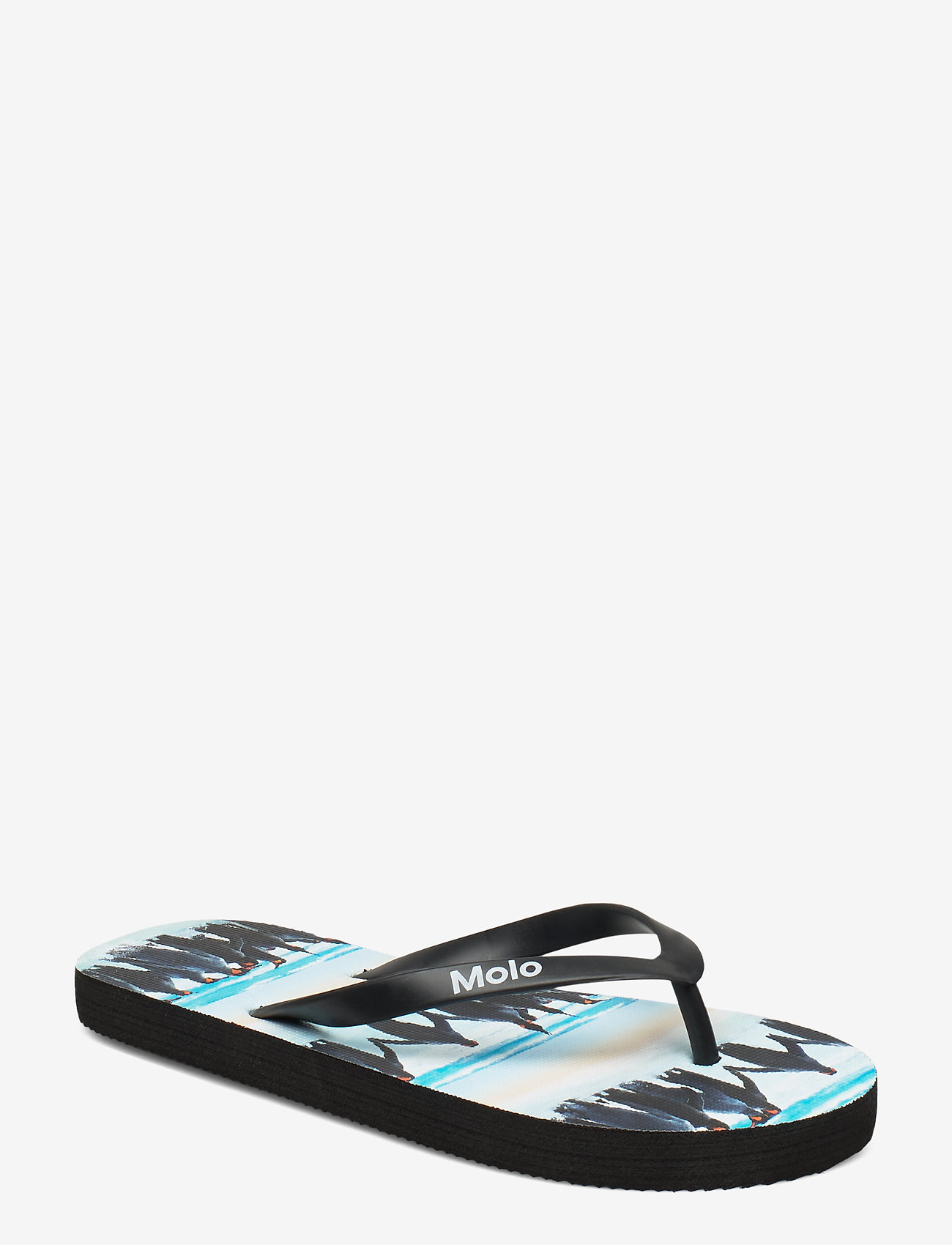 Molo - Zeppo - penguin stripe - 0