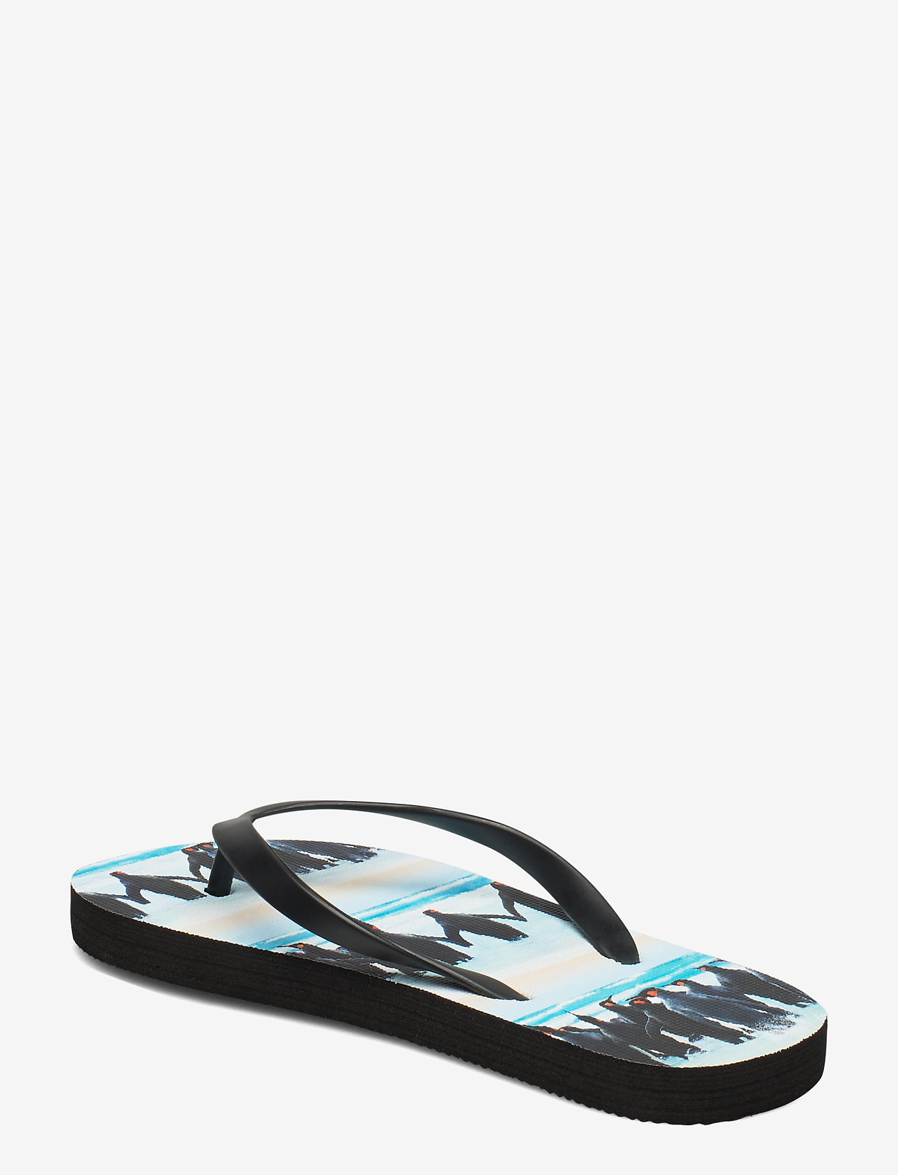 Molo - Zeppo - penguin stripe - 2
