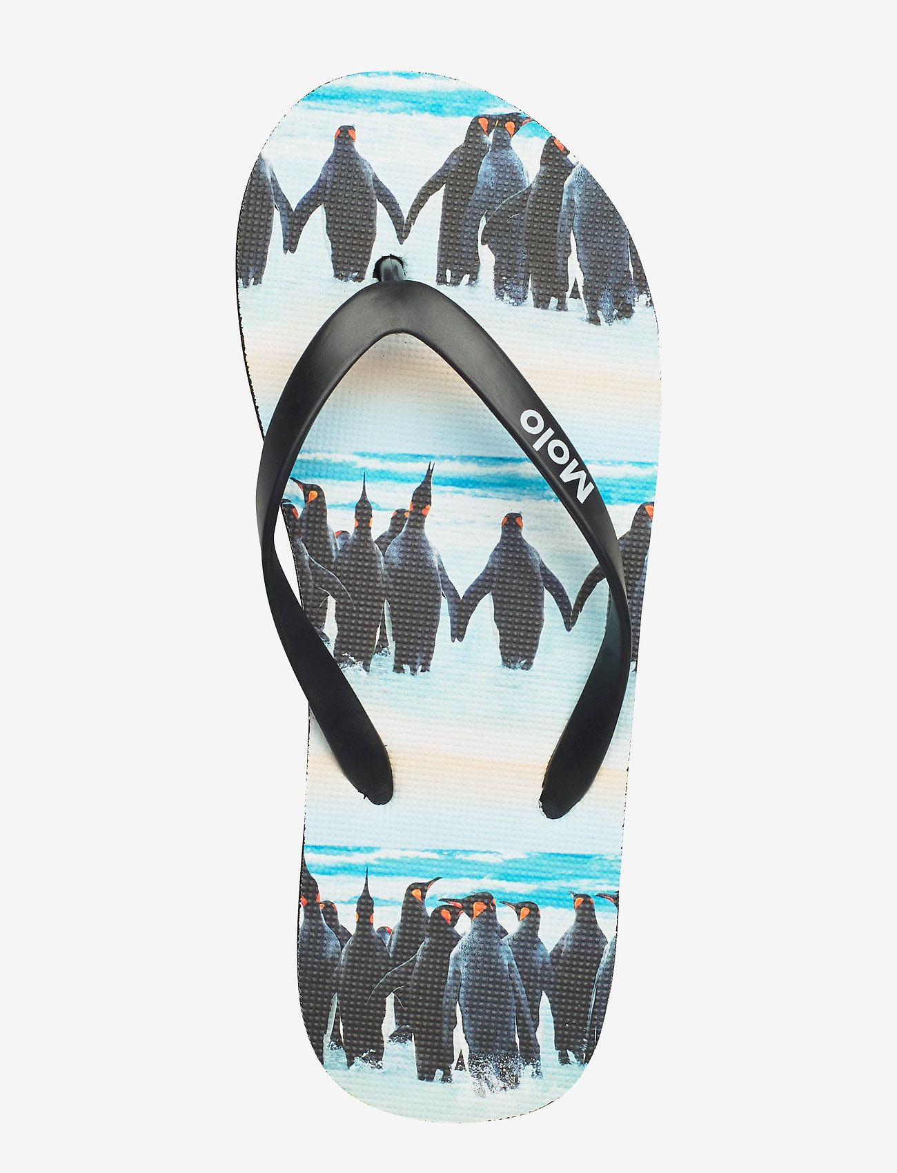 Molo - Zeppo - penguin stripe - 3