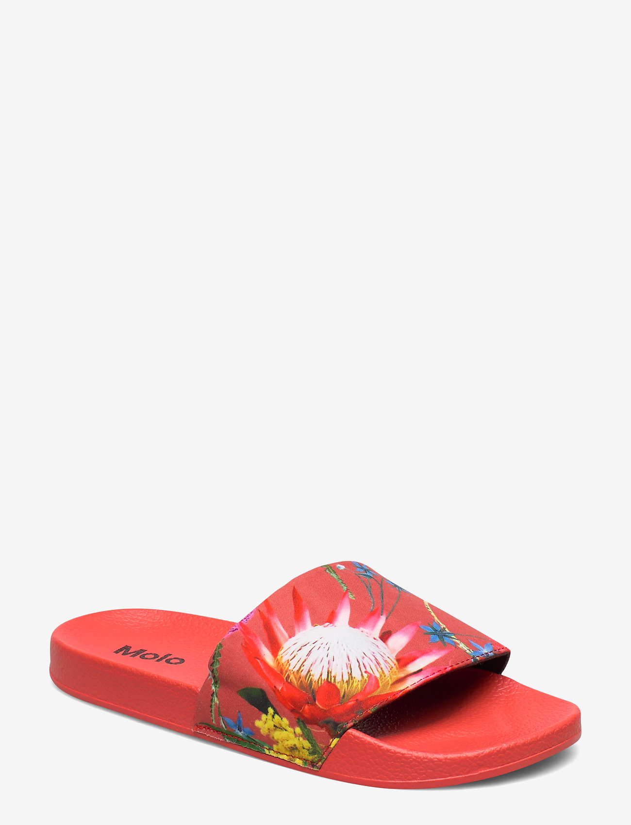 AUSTRALIAN FLOWERS