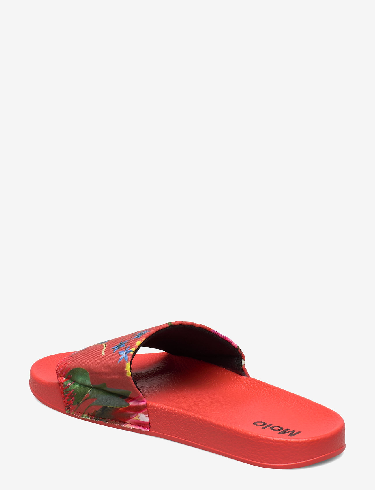 Molo - Zhappy - australian flowers - 2