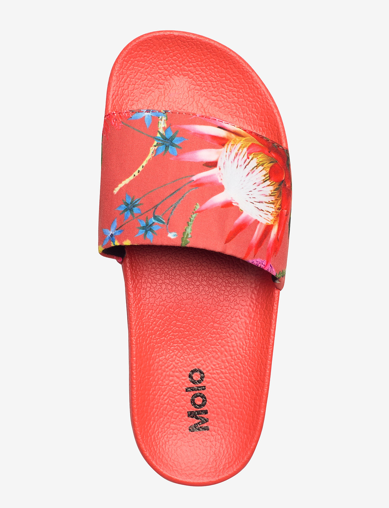 Molo - Zhappy - australian flowers - 3